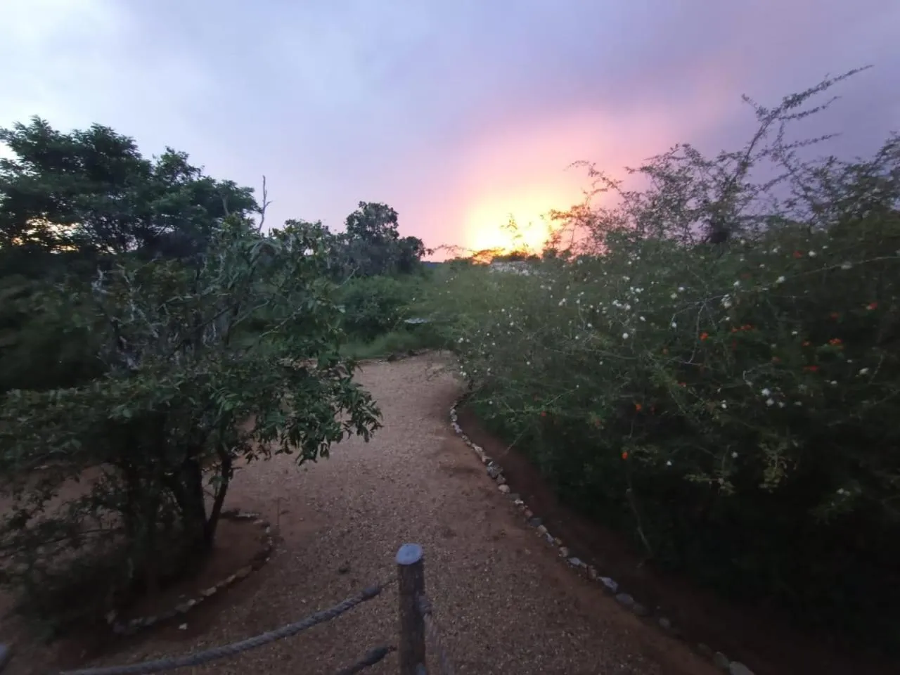 Kele Yala