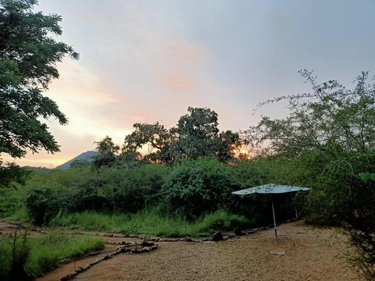 Kele Yala