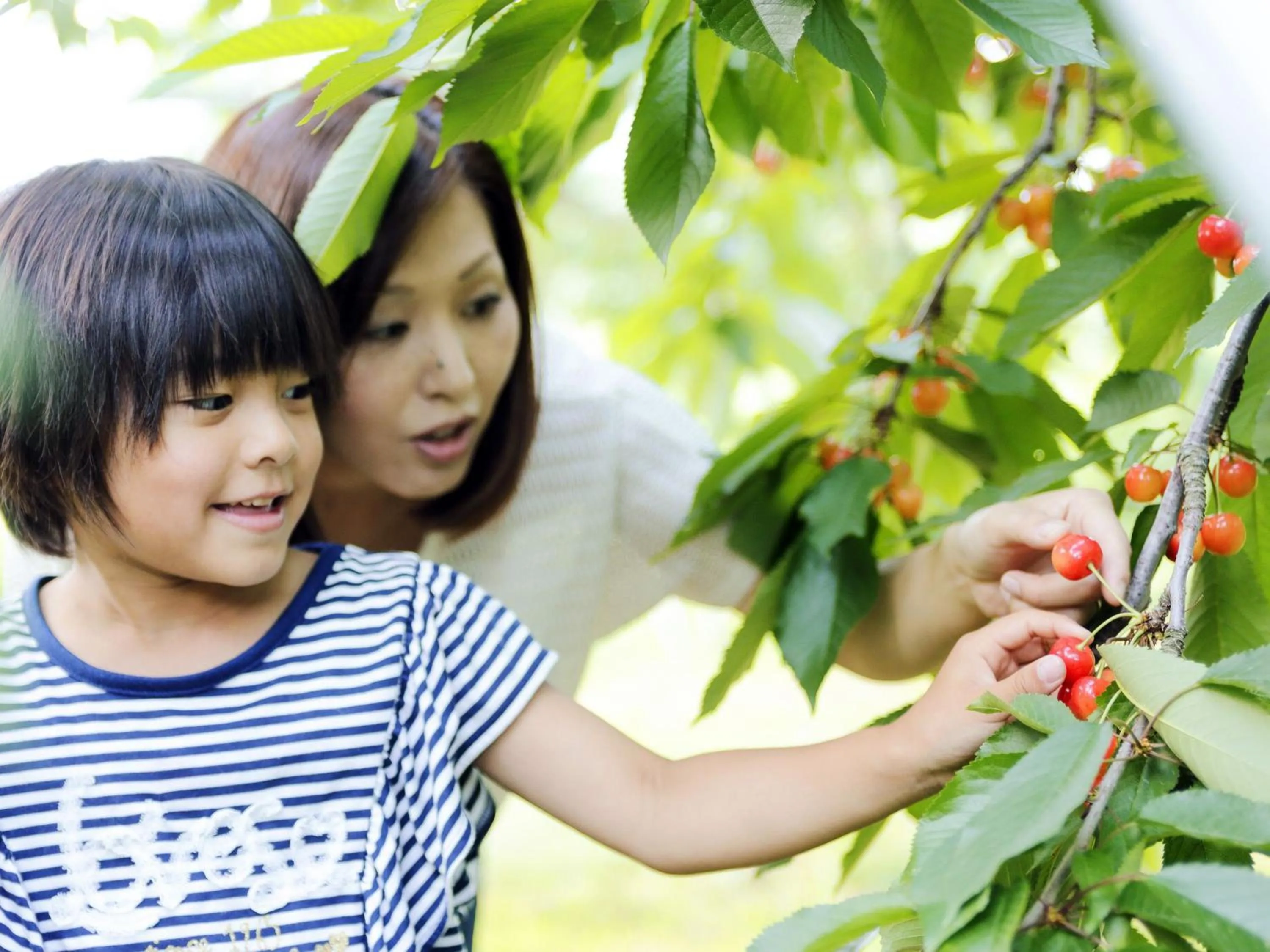 Location in Hotel Green Mark