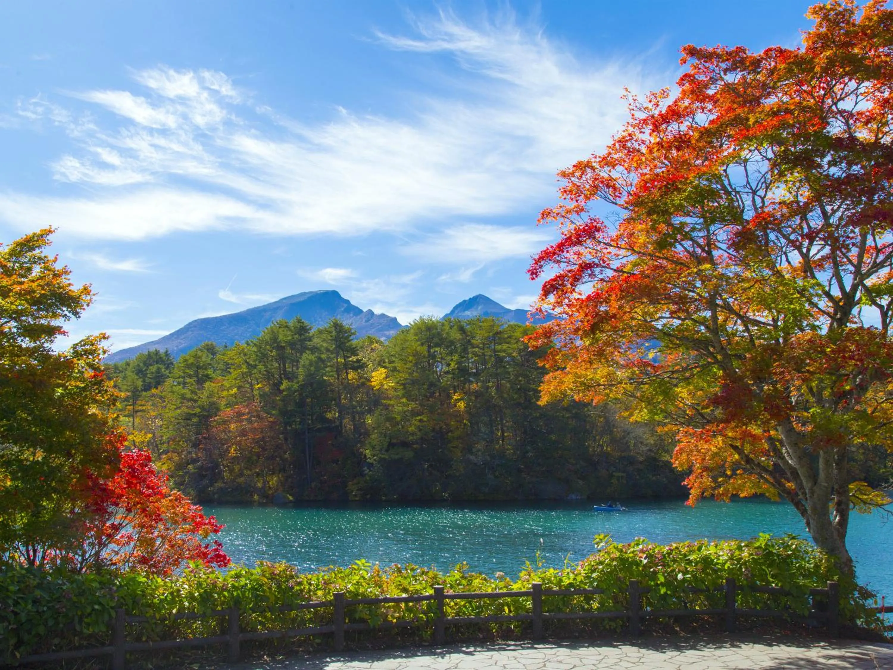 Day in Hotel Green Mark