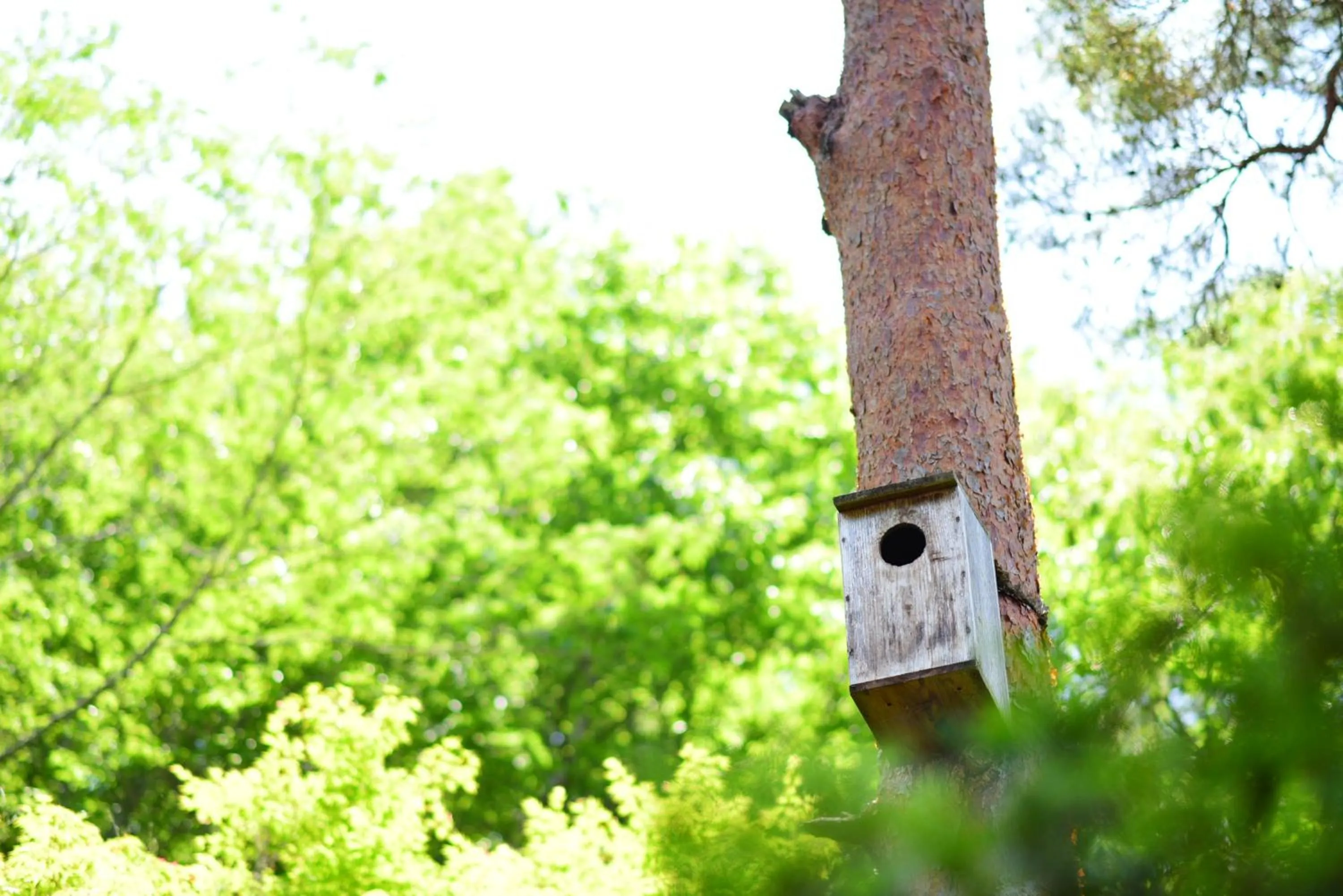 Natural landscape in Kyousen