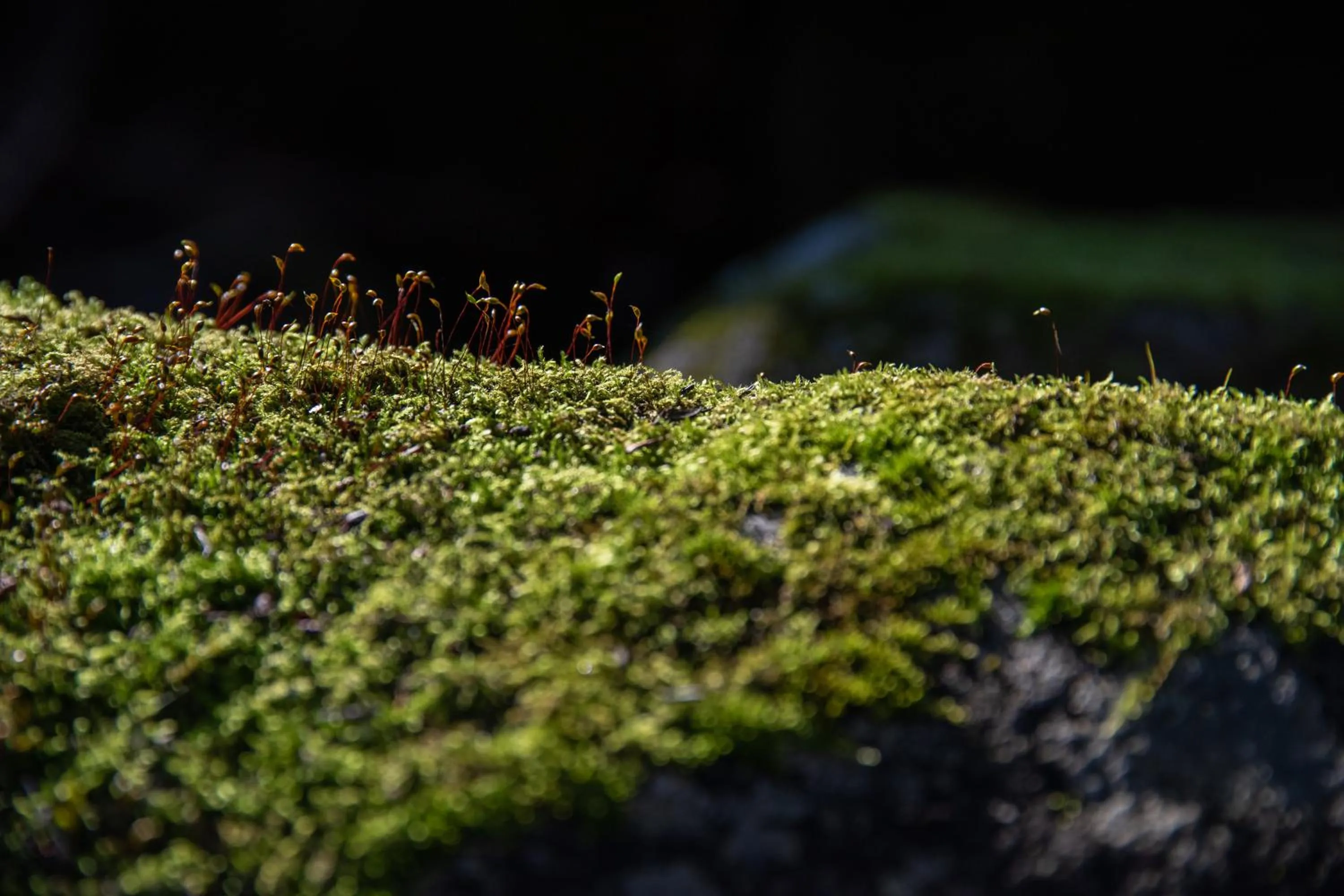 Natural landscape in Kyousen
