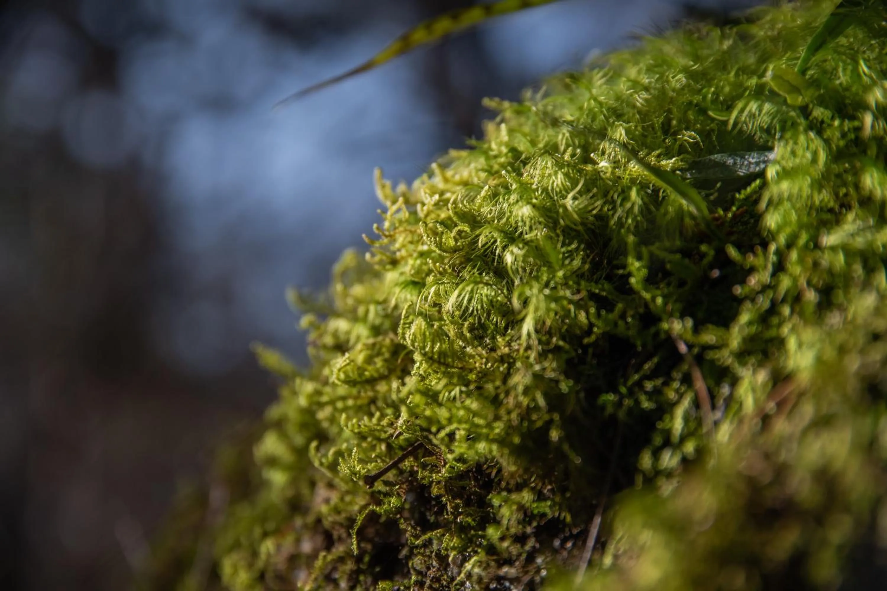 Natural landscape in Kyousen
