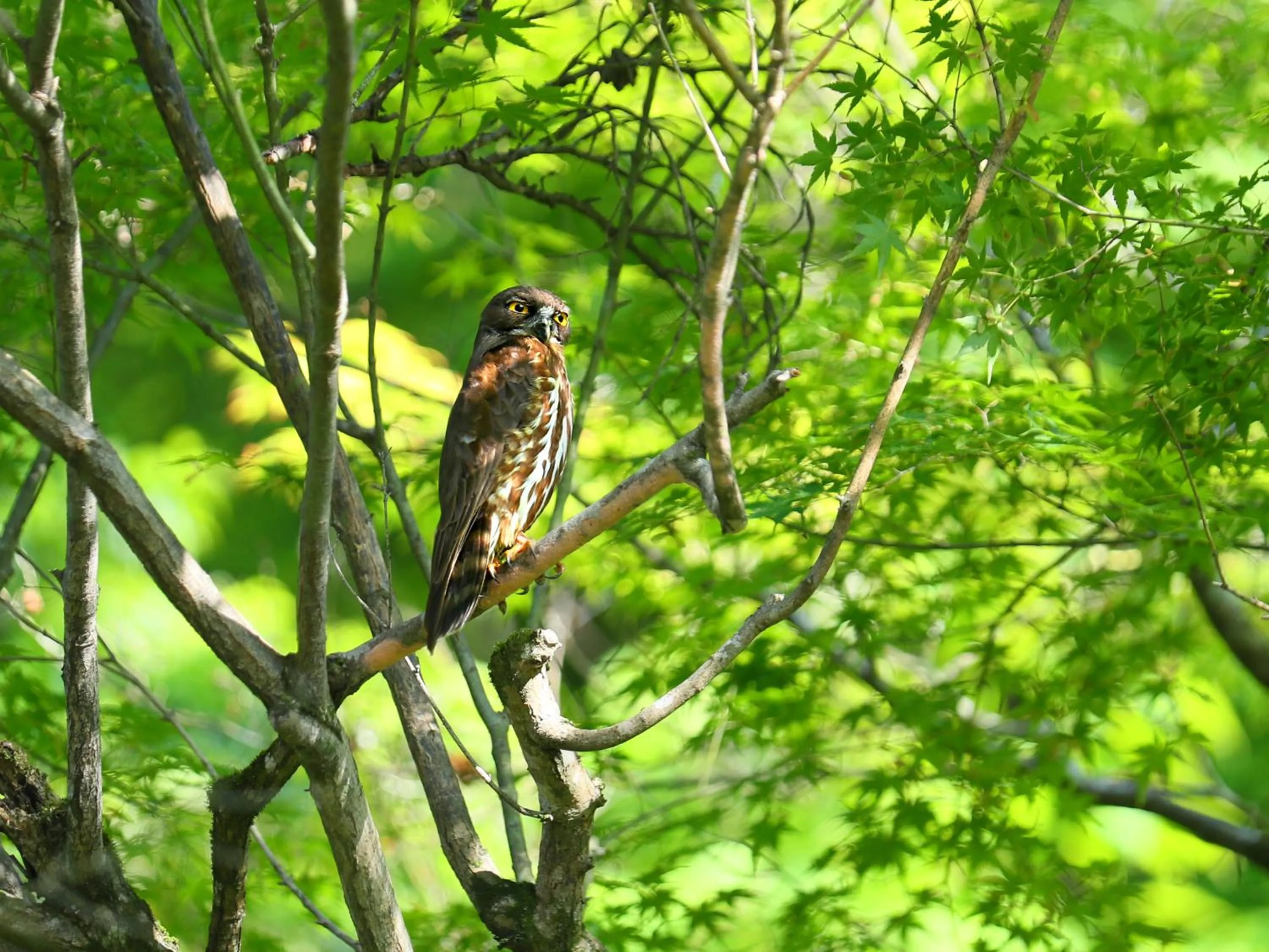 Area and facilities in Kyousen