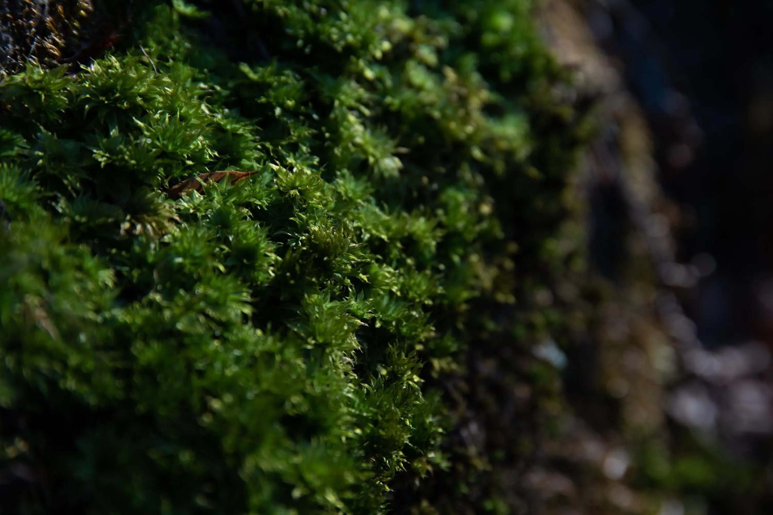 Natural landscape in Kyousen