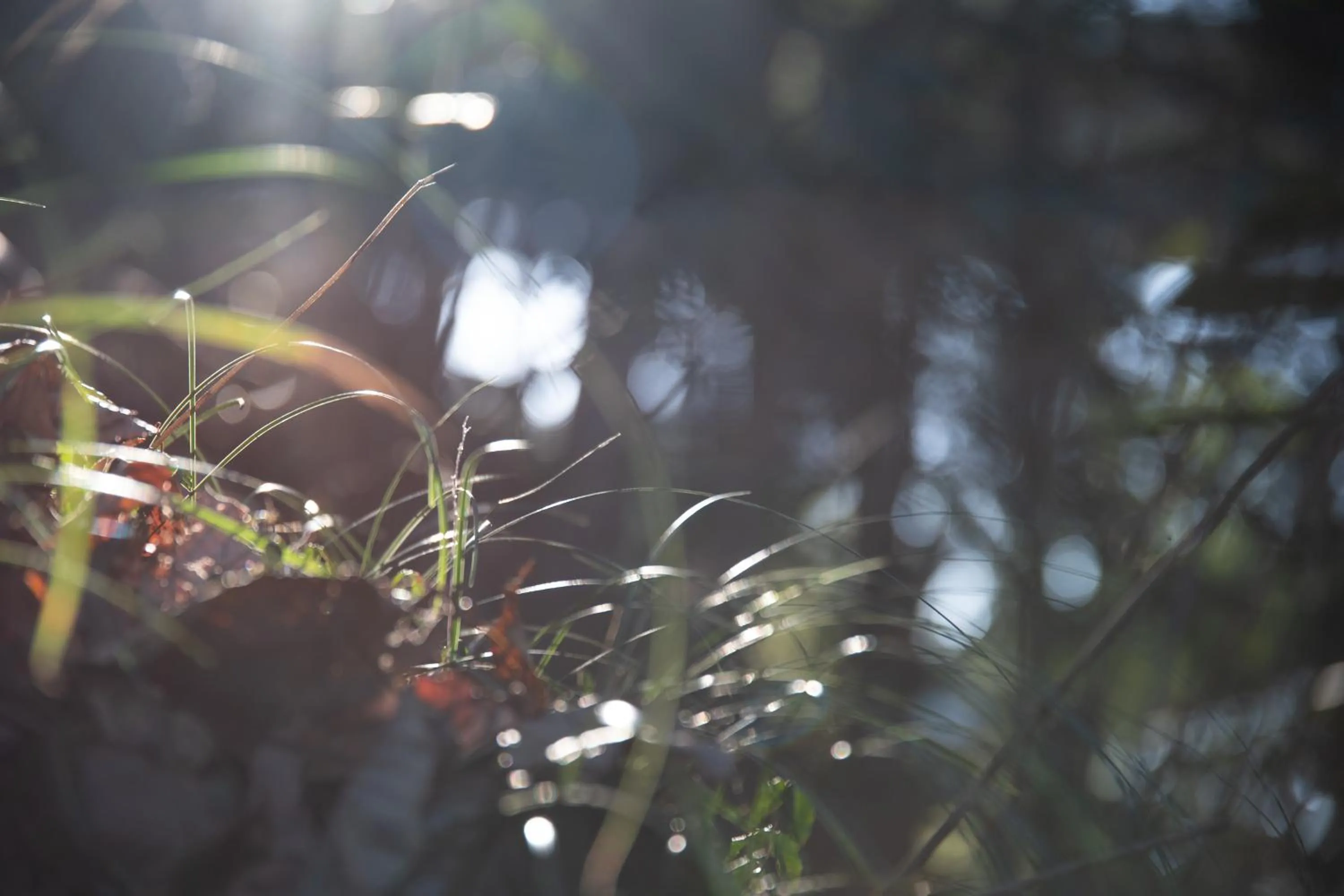 Natural landscape in Kyousen