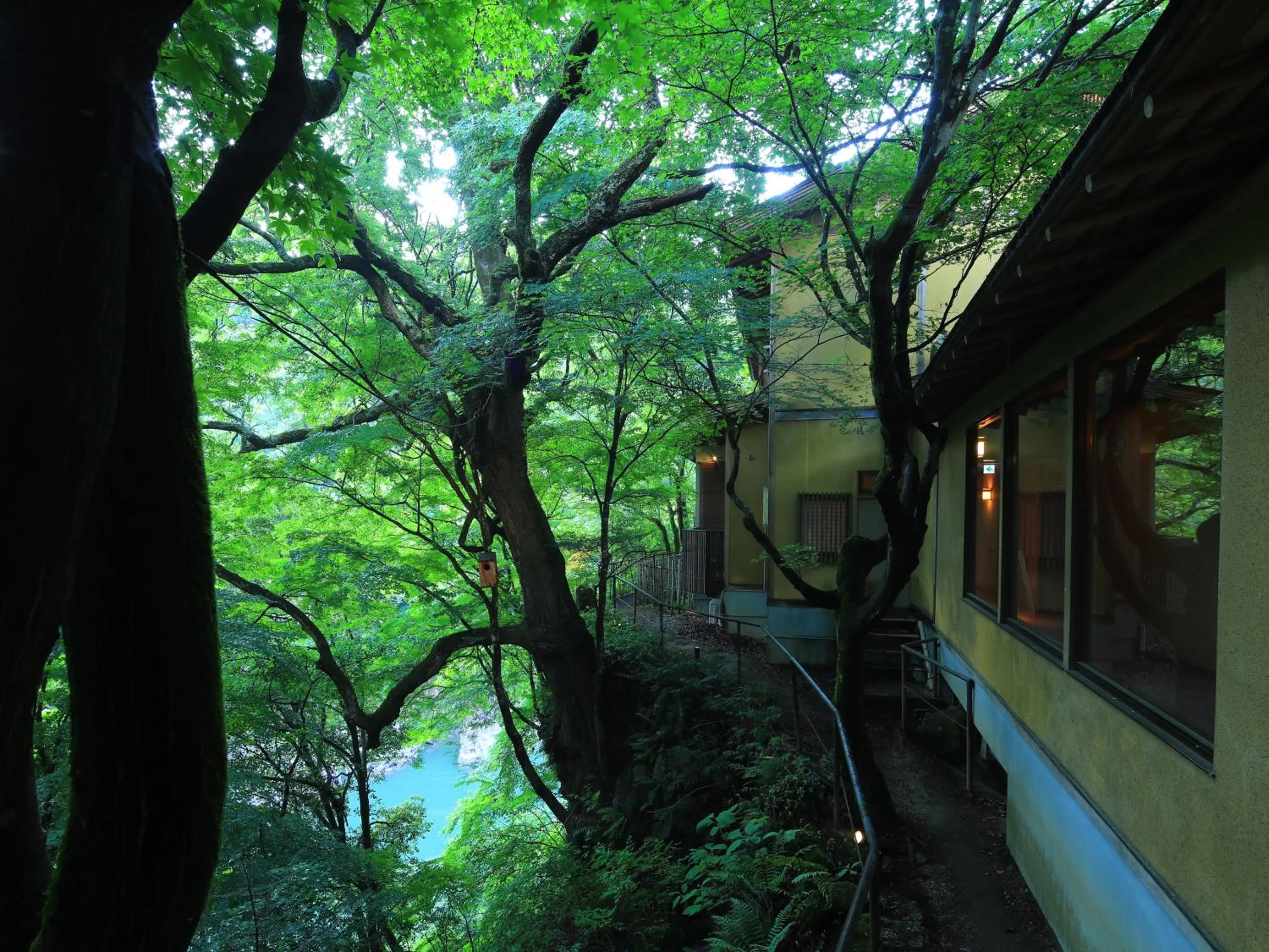 Area and facilities in Kyousen