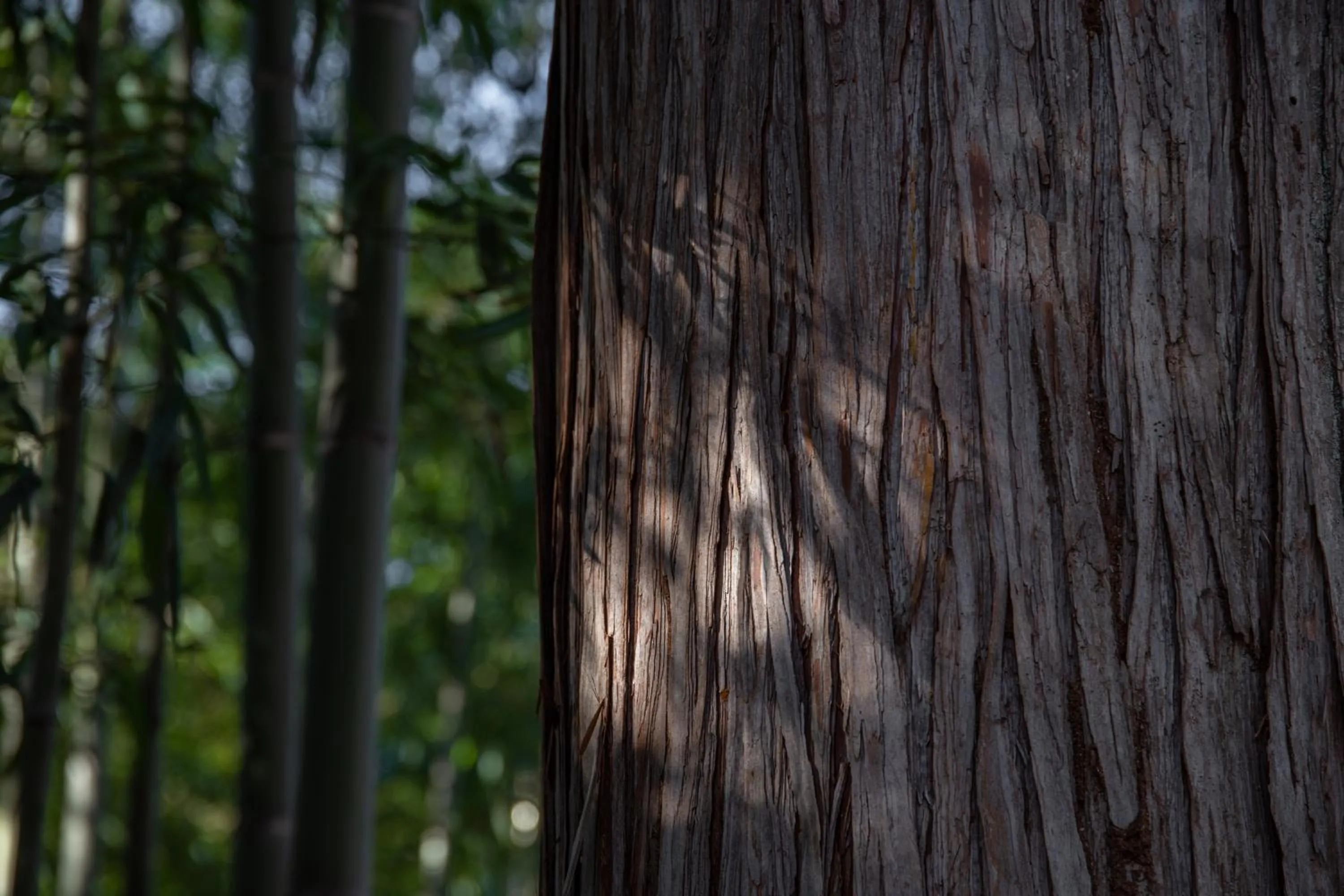 Natural landscape in Kyousen