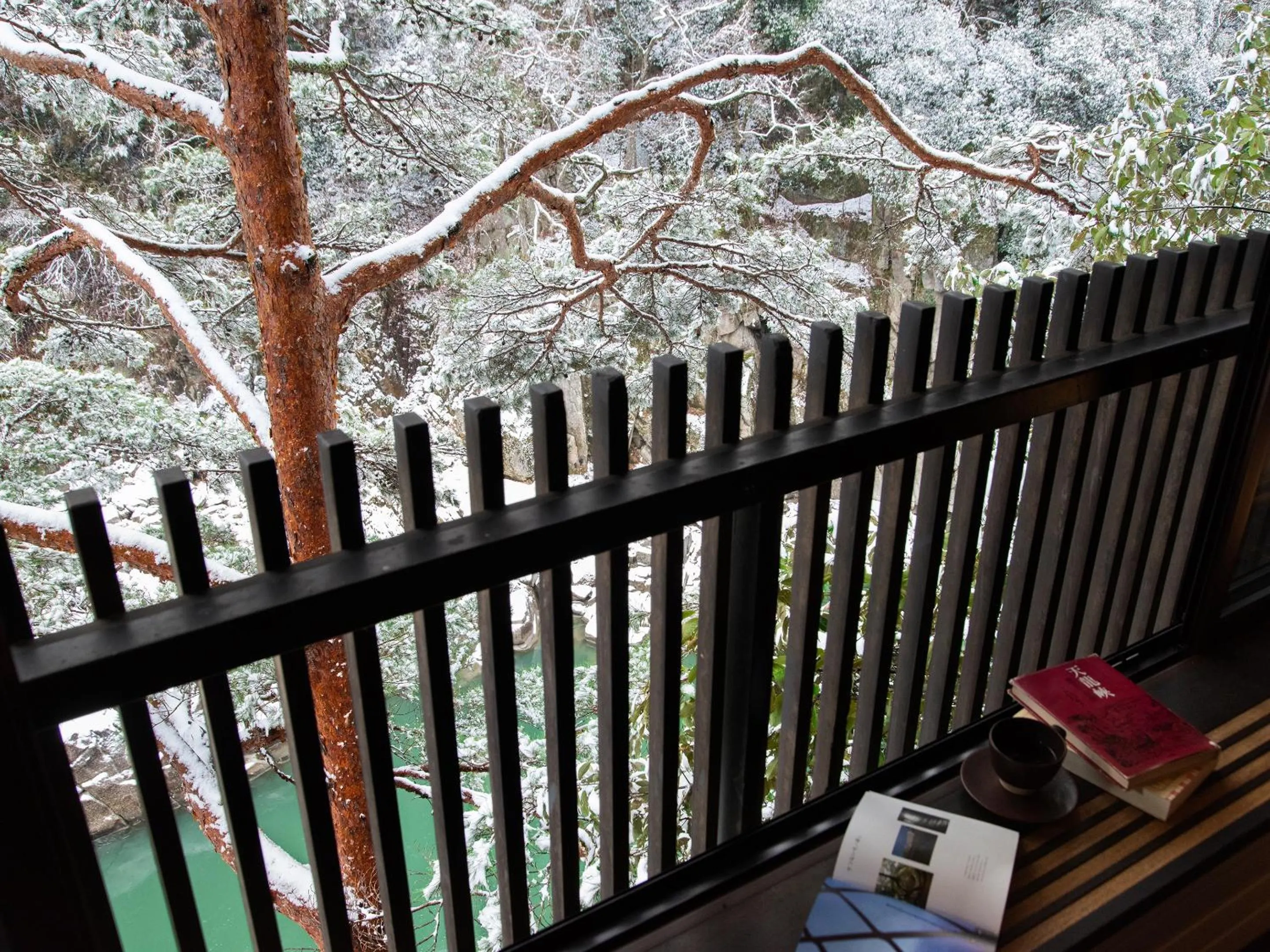 View (from property/room) in Kyousen