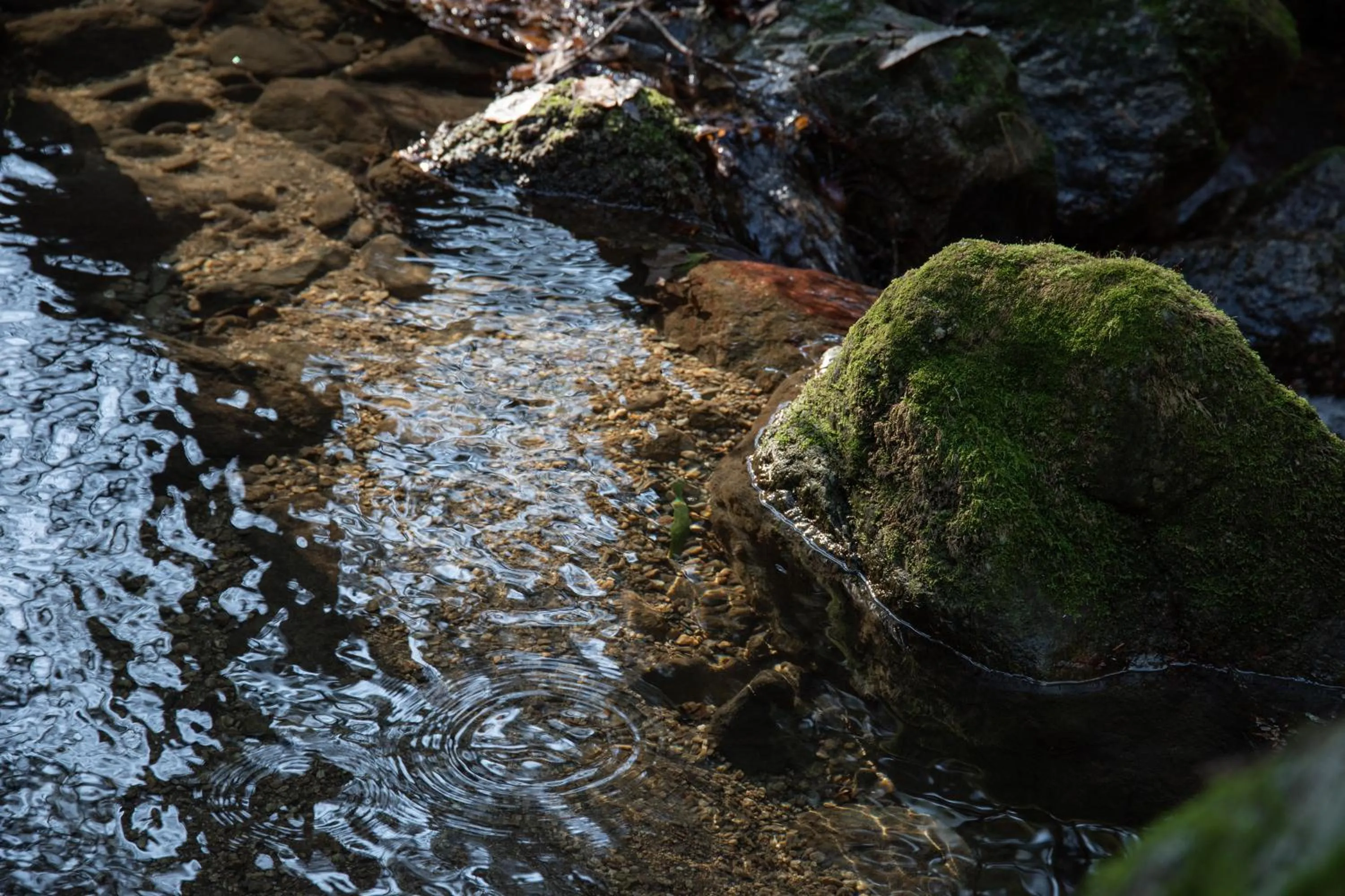 Natural landscape in Kyousen
