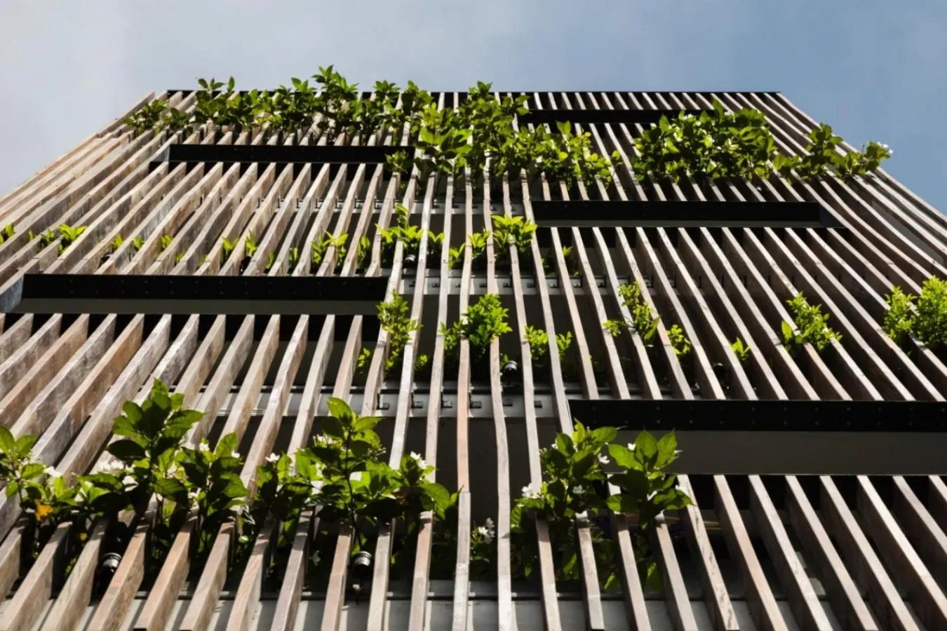 Property building in Triple E Hotel Fine Art Museum