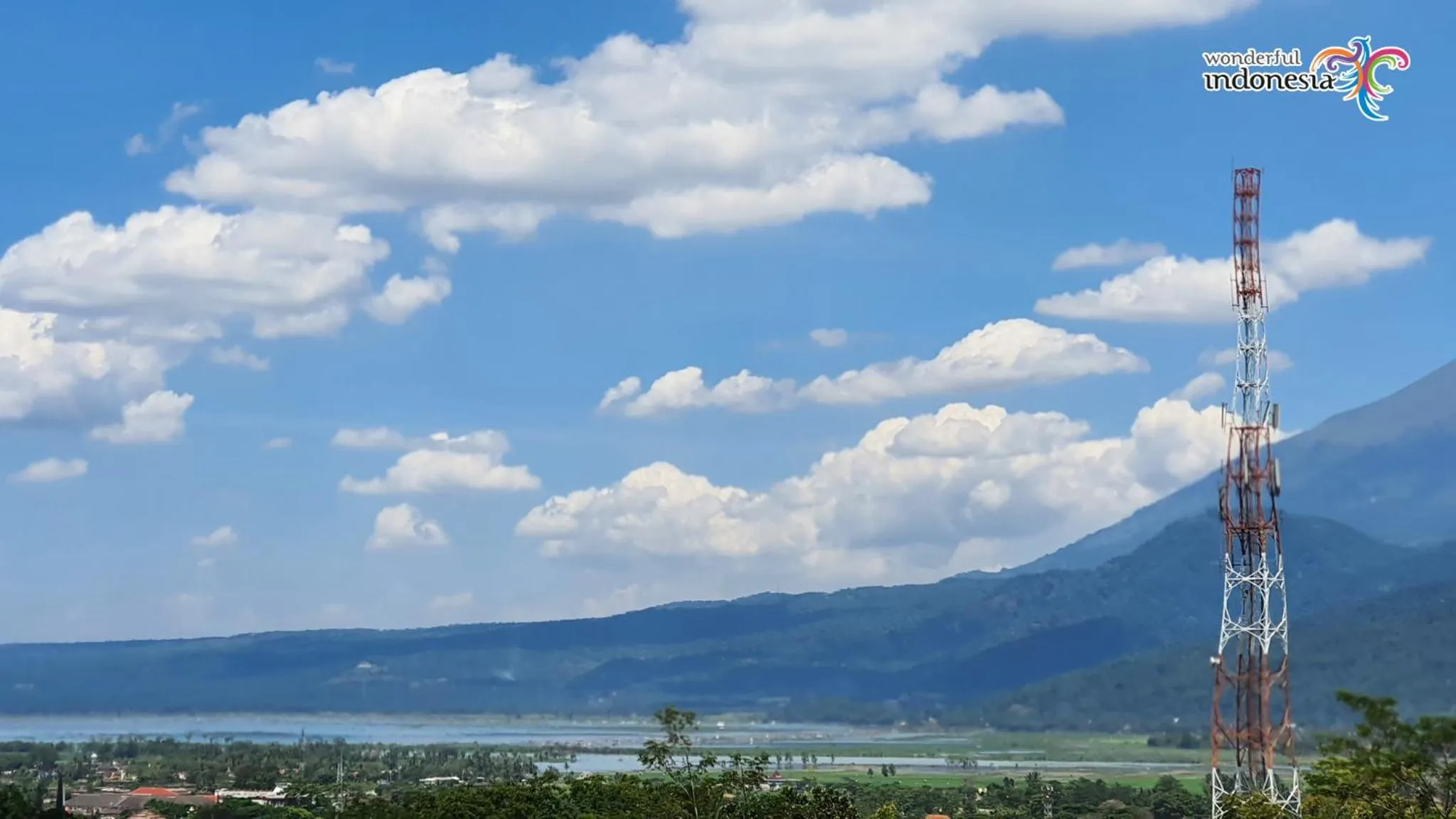 Natural landscape in Hotel Griya Wijaya