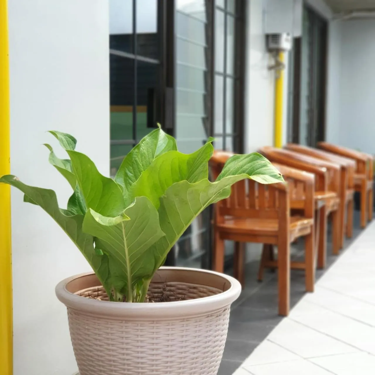 Balcony/Terrace in Hotel Griya Wijaya