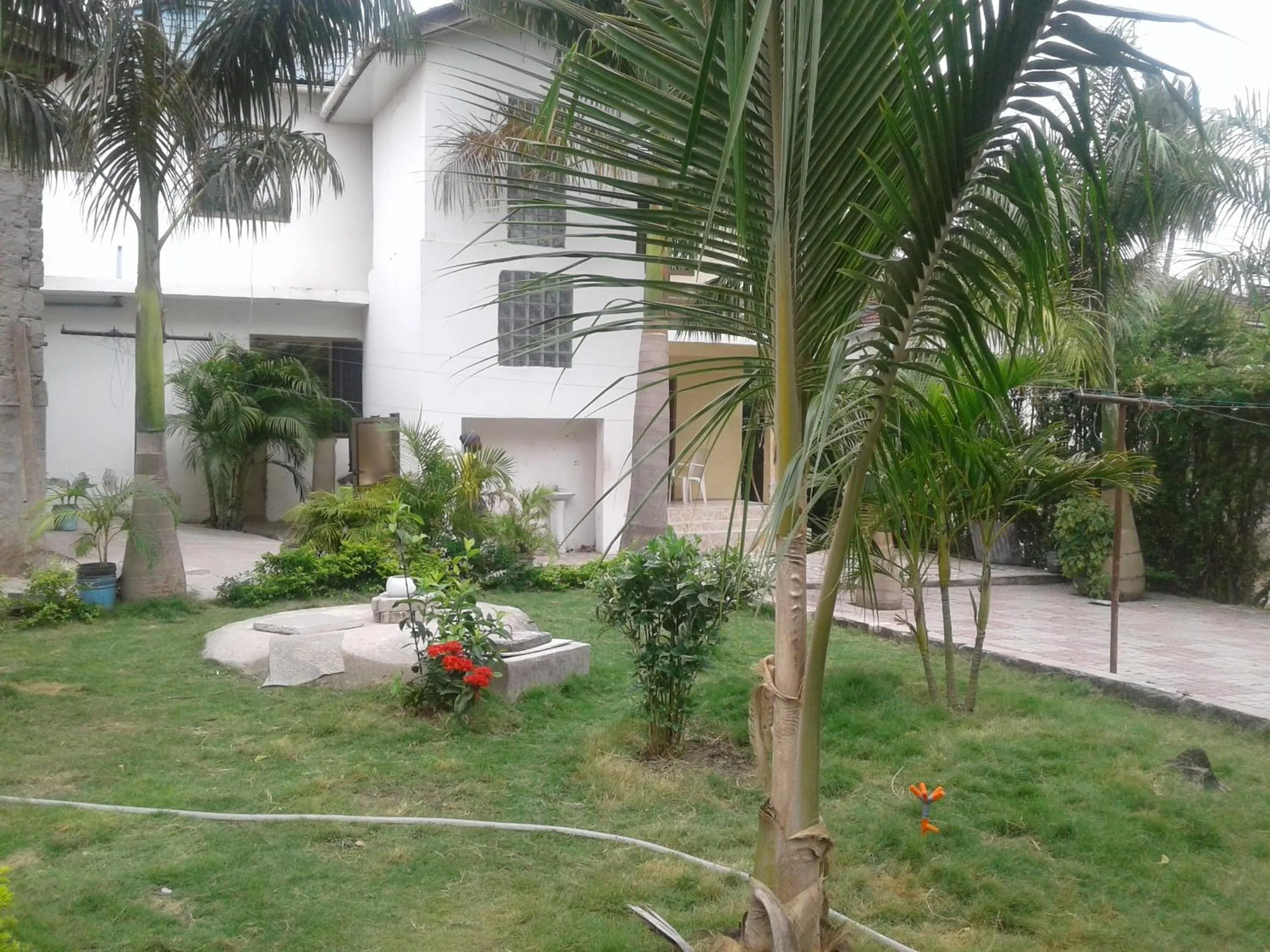 Garden in JJ & JE Family House