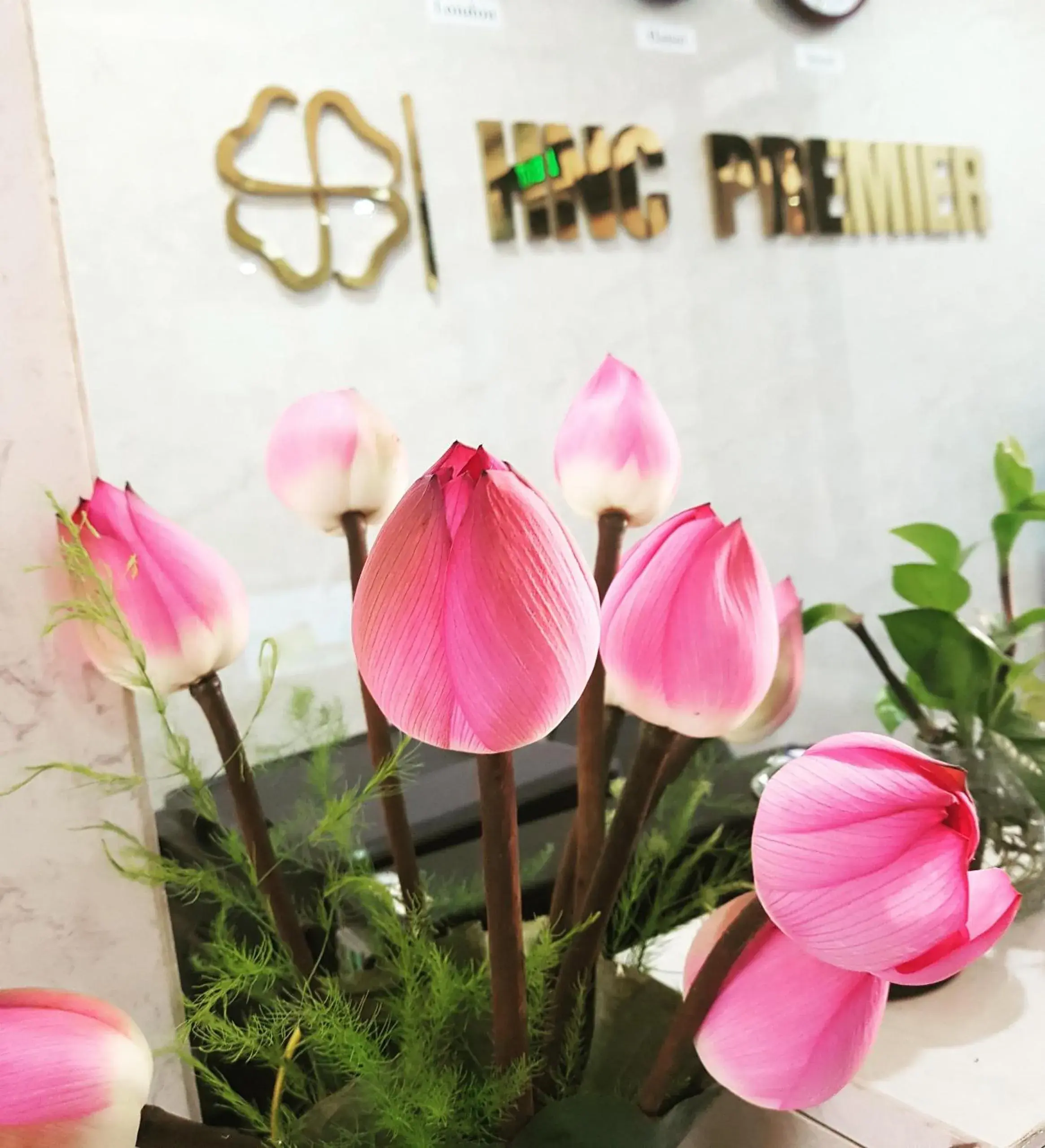 Lobby or reception in Ficus Suites Lobby or reception in Ficus Suites