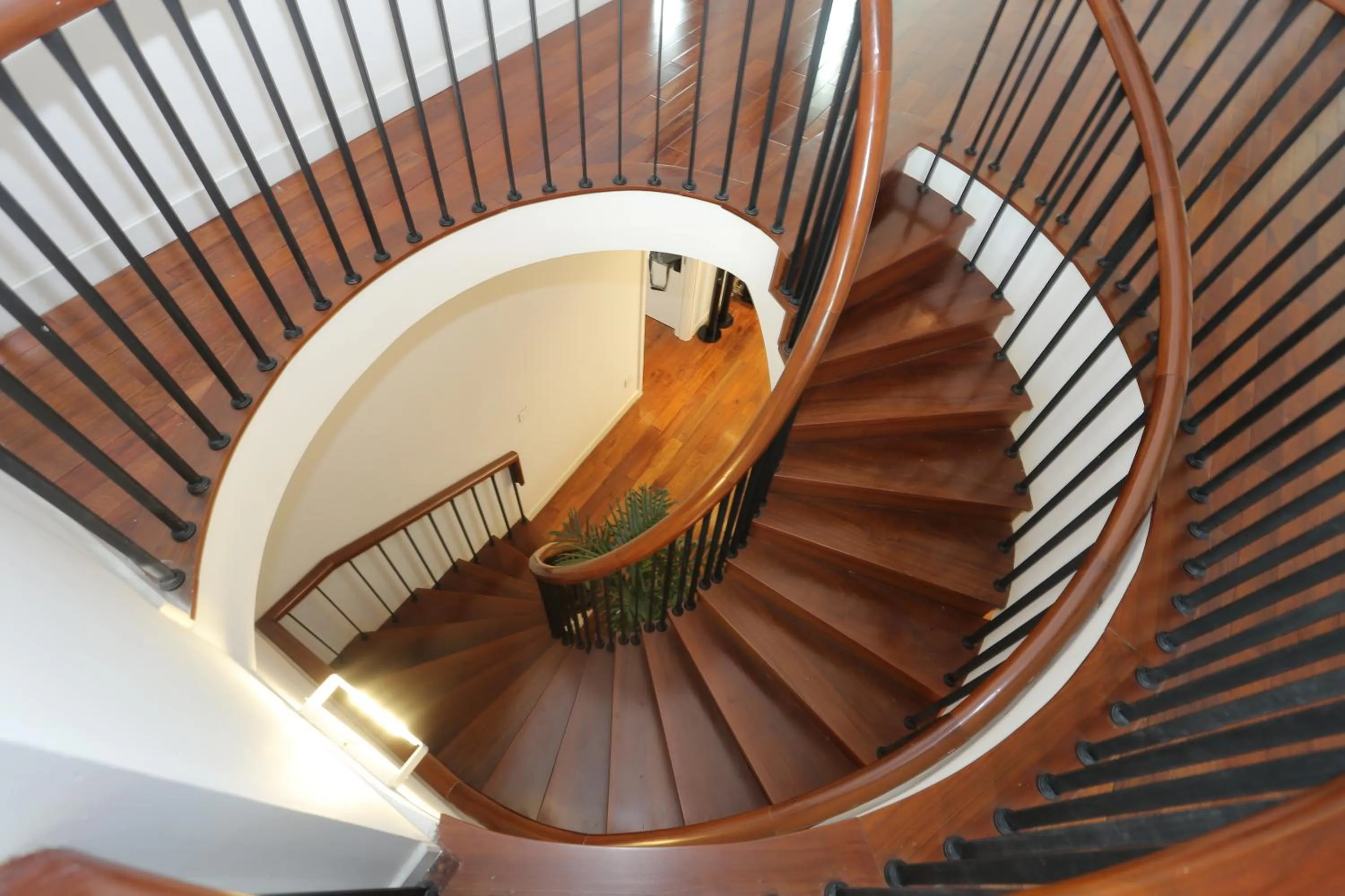 Communal lounge/ TV room in Ficus Suites