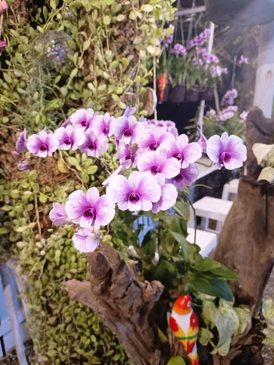 Garden view in Saan Rak Resort