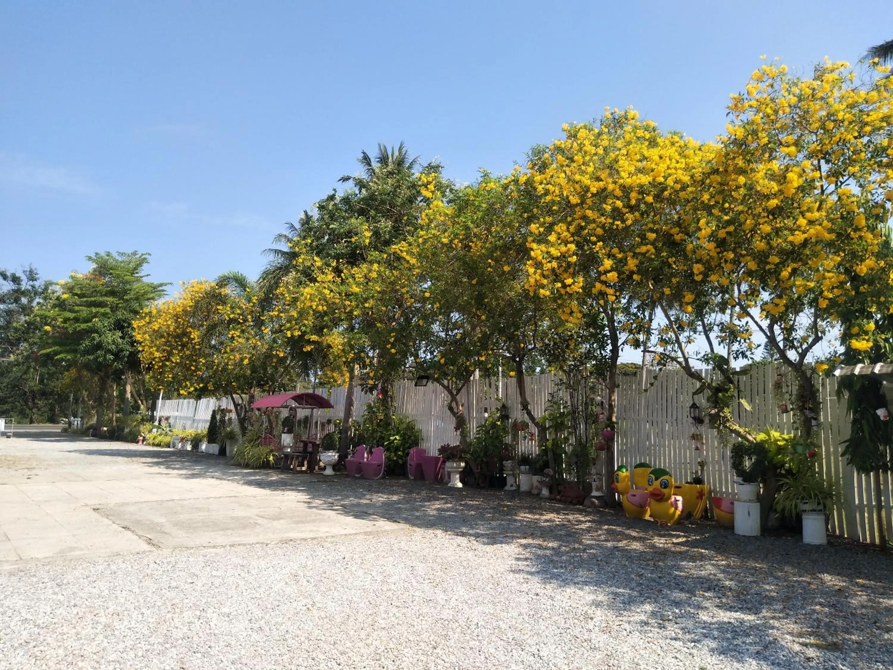 Spring in Saan Rak Resort