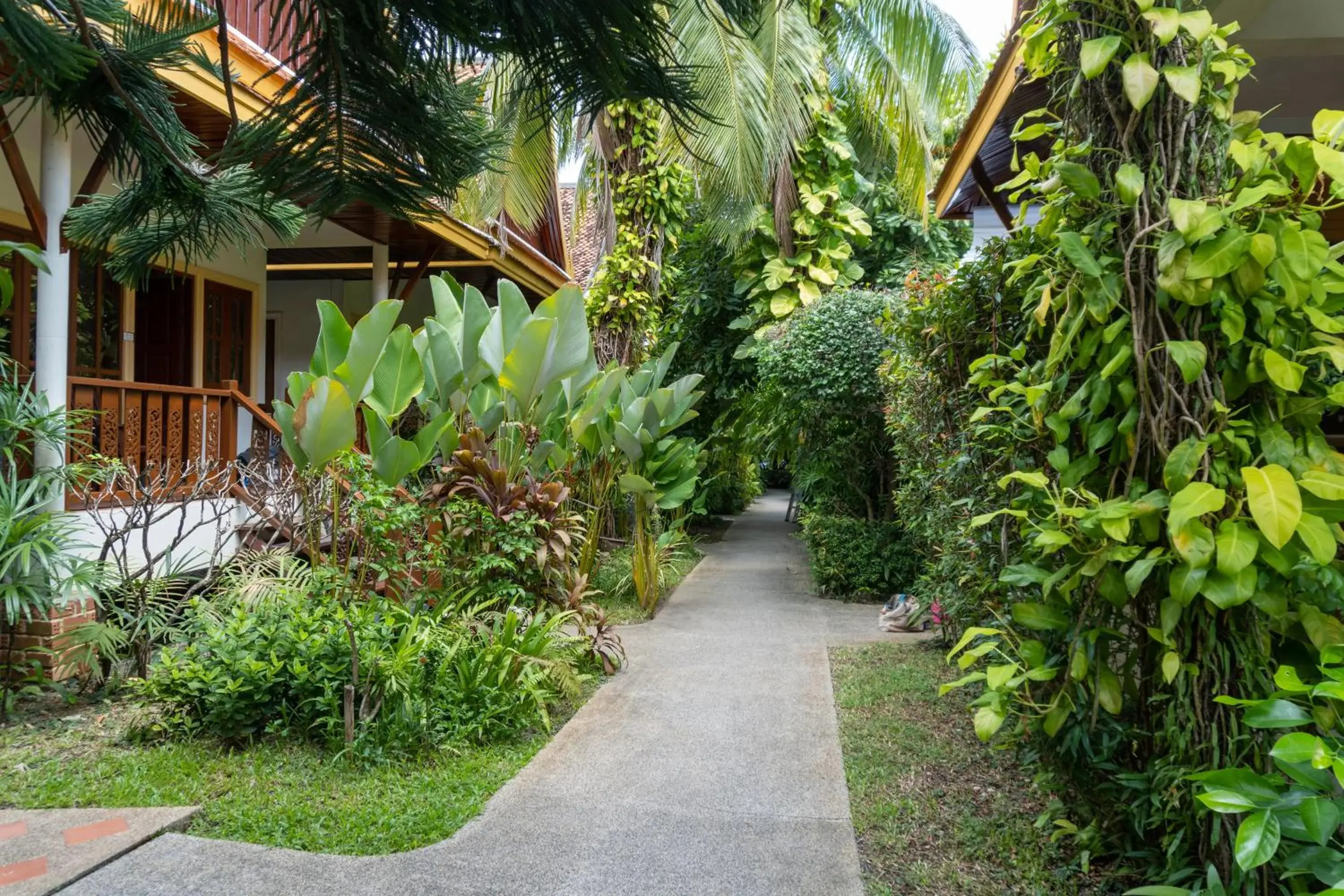 Property building in Bangtao Village Resort - SHA Property building in Bangtao Village Resort - SHA