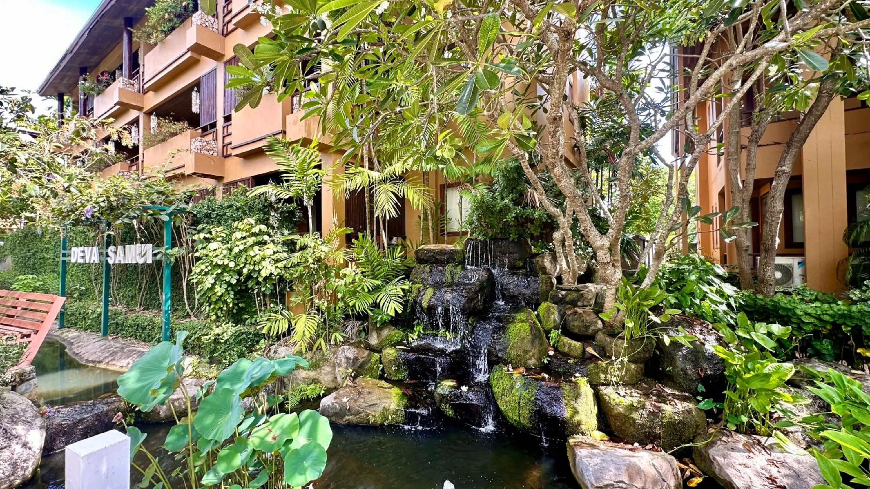 Area and facilities in Deva Beach Resort Samui