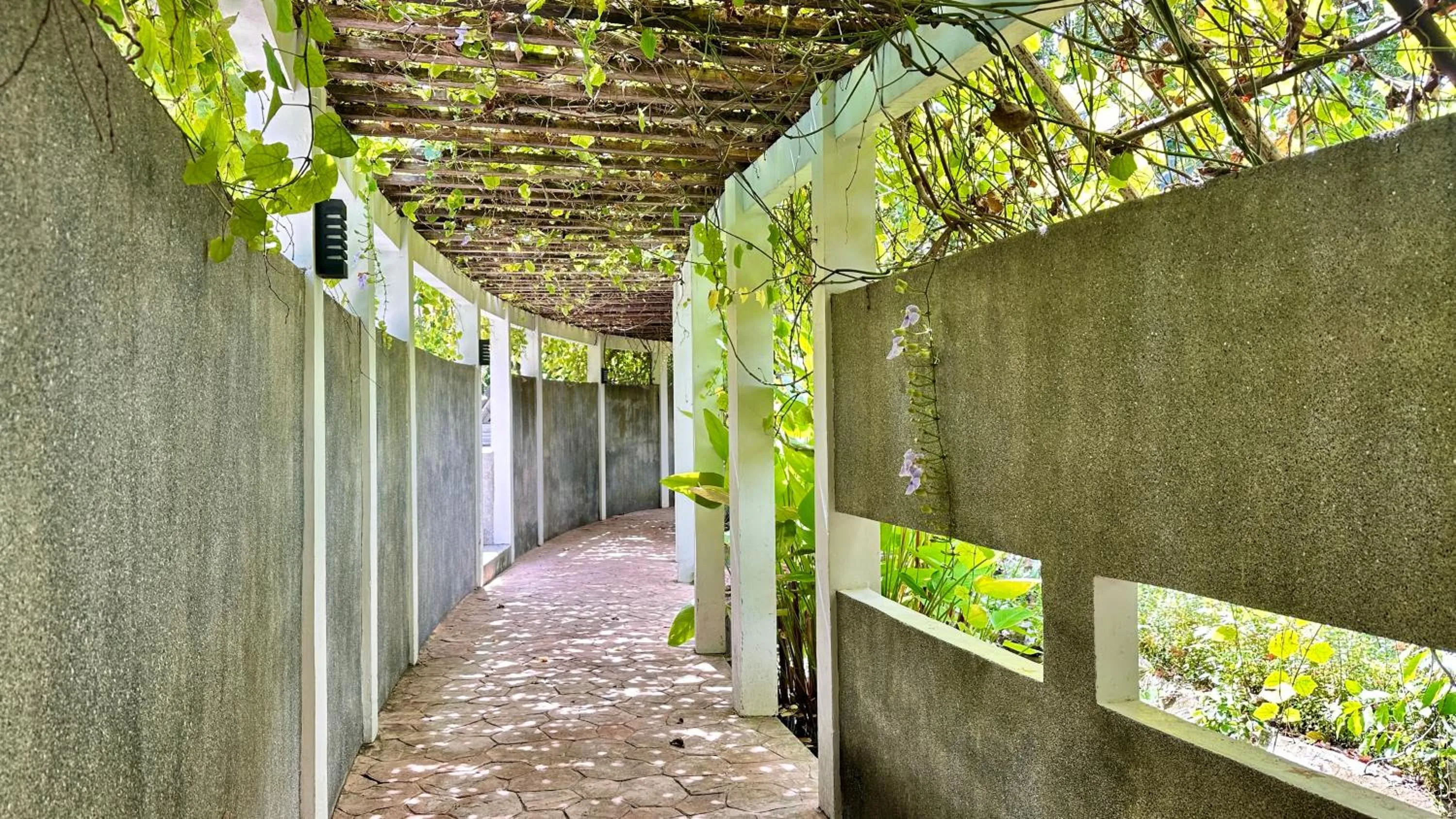 Area and facilities in Deva Beach Resort Samui