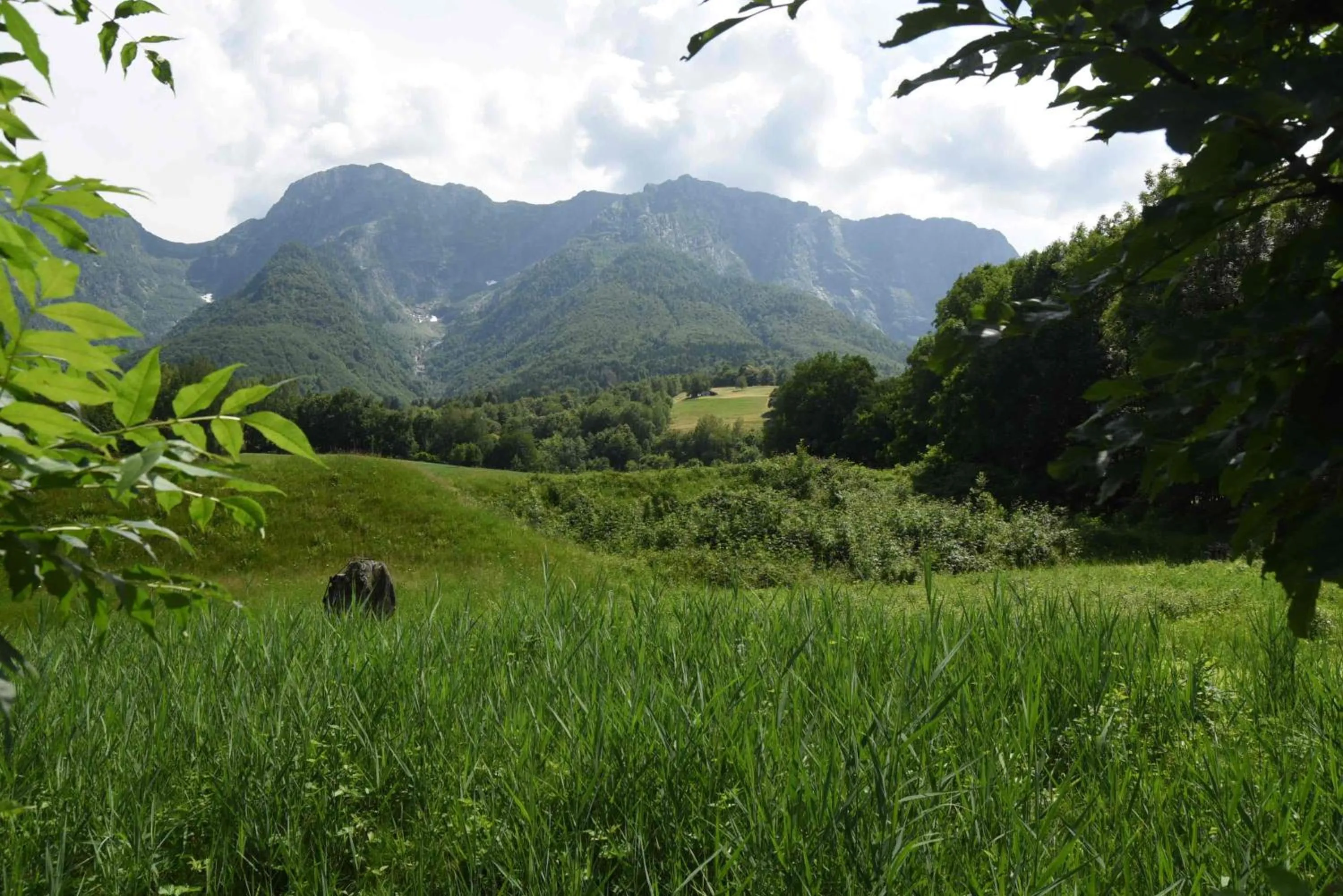 Natural landscape in Hotel Antico