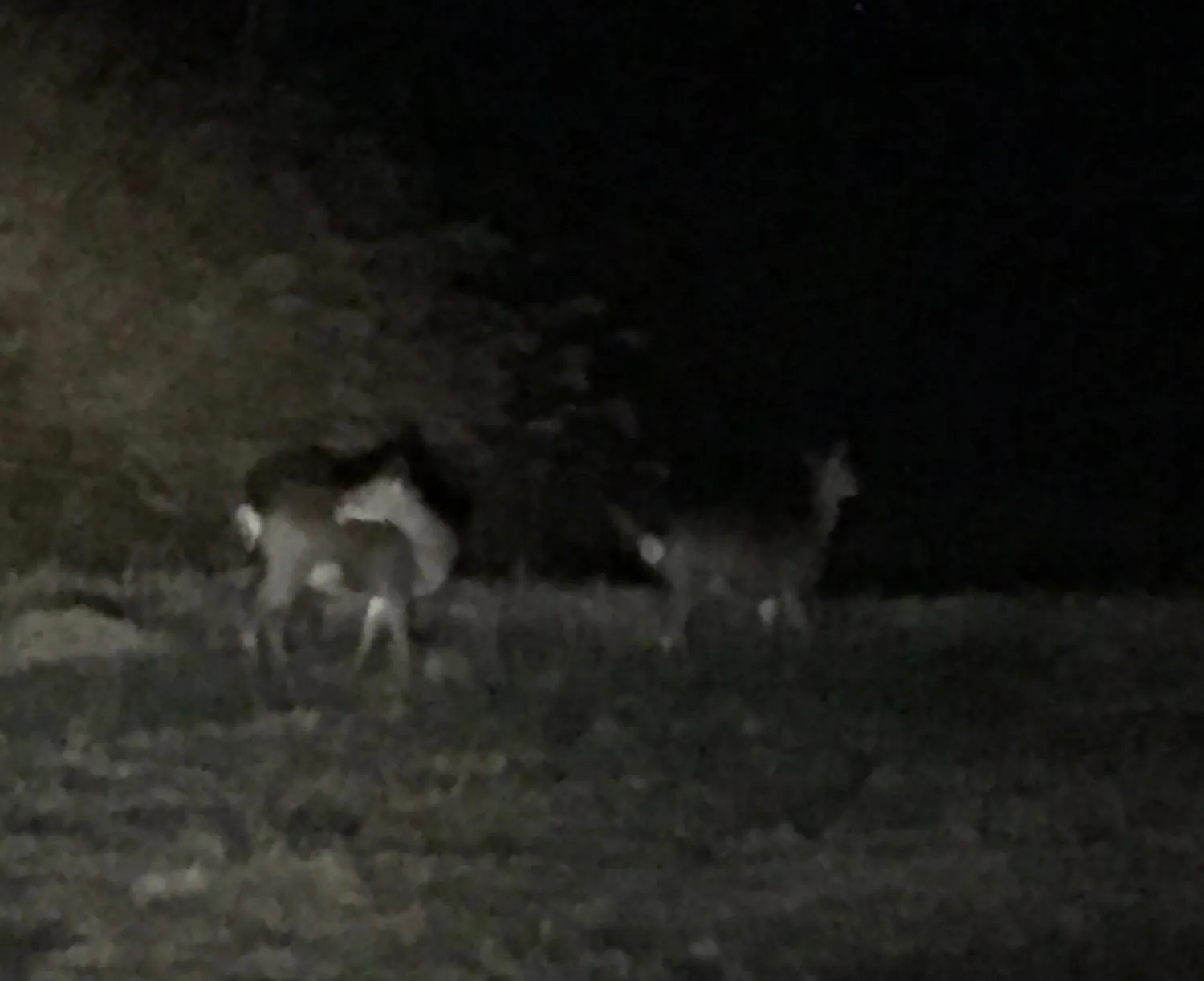 On site in The Lodge MIWA