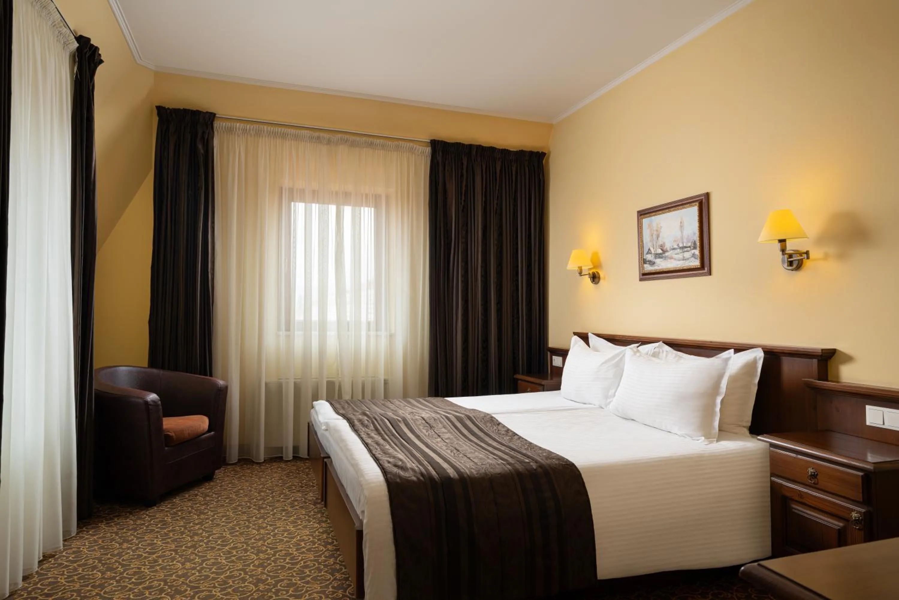 Shower, Bed in Hotel Leul de Aur