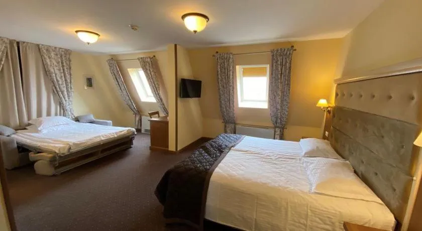 Bed in Hotel Leul de Aur