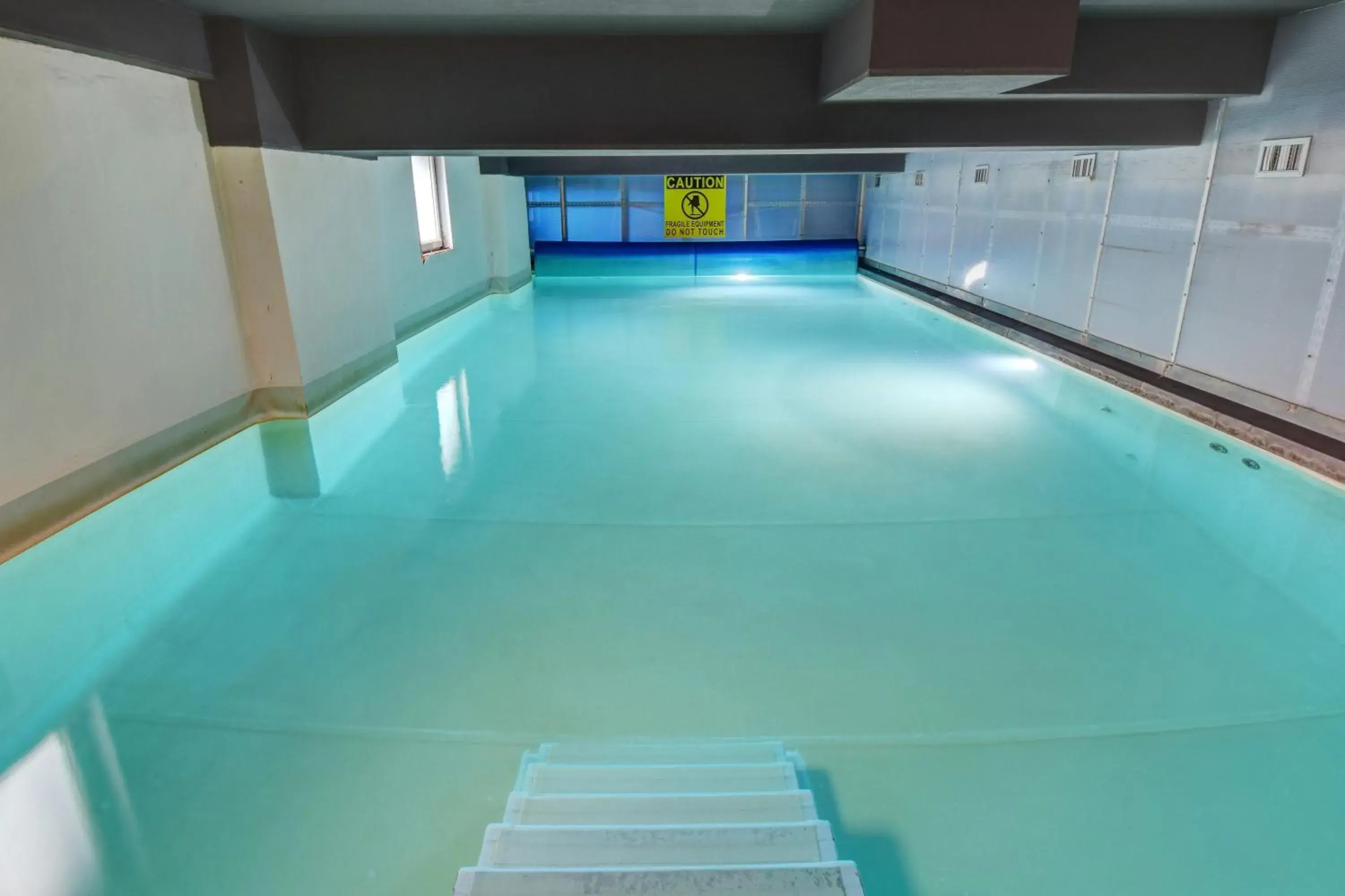 Swimming pool in Plus Prague Swimming pool in Plus Prague