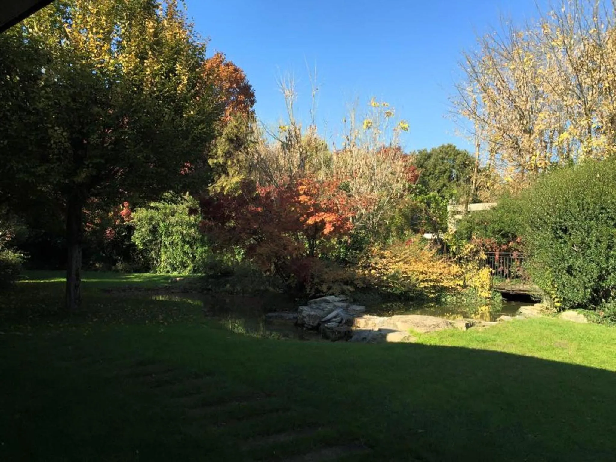 Garden in Il Leone D'Oro