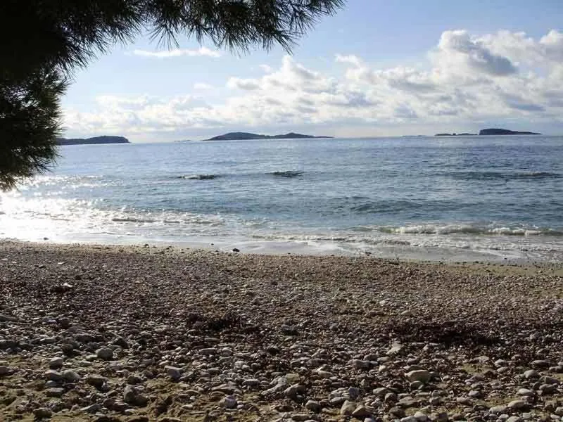 Beach in Apartments Marnic