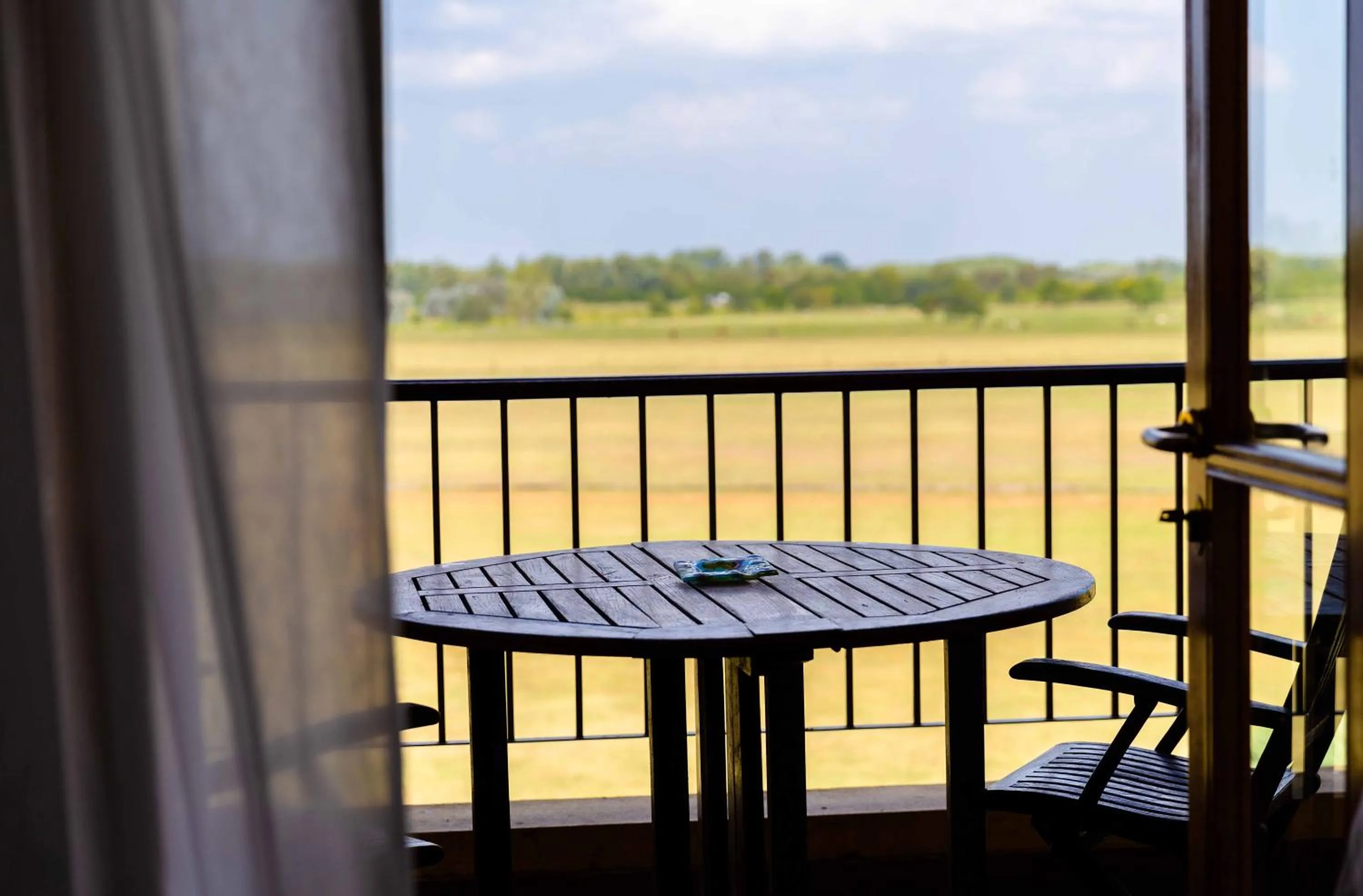 Garden view in Wyndham Garden Luján