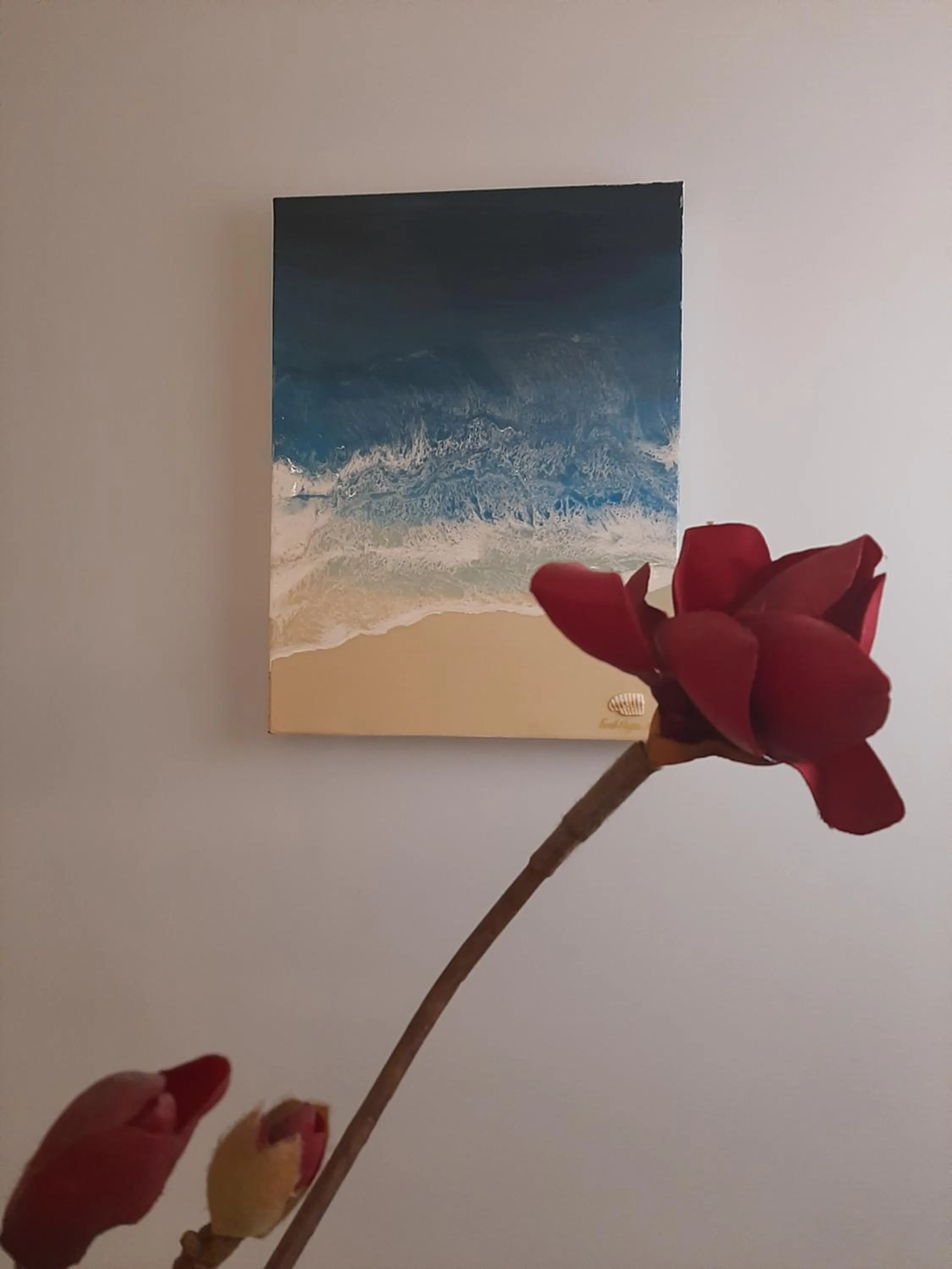 Property building in Hotel Chiaraluna