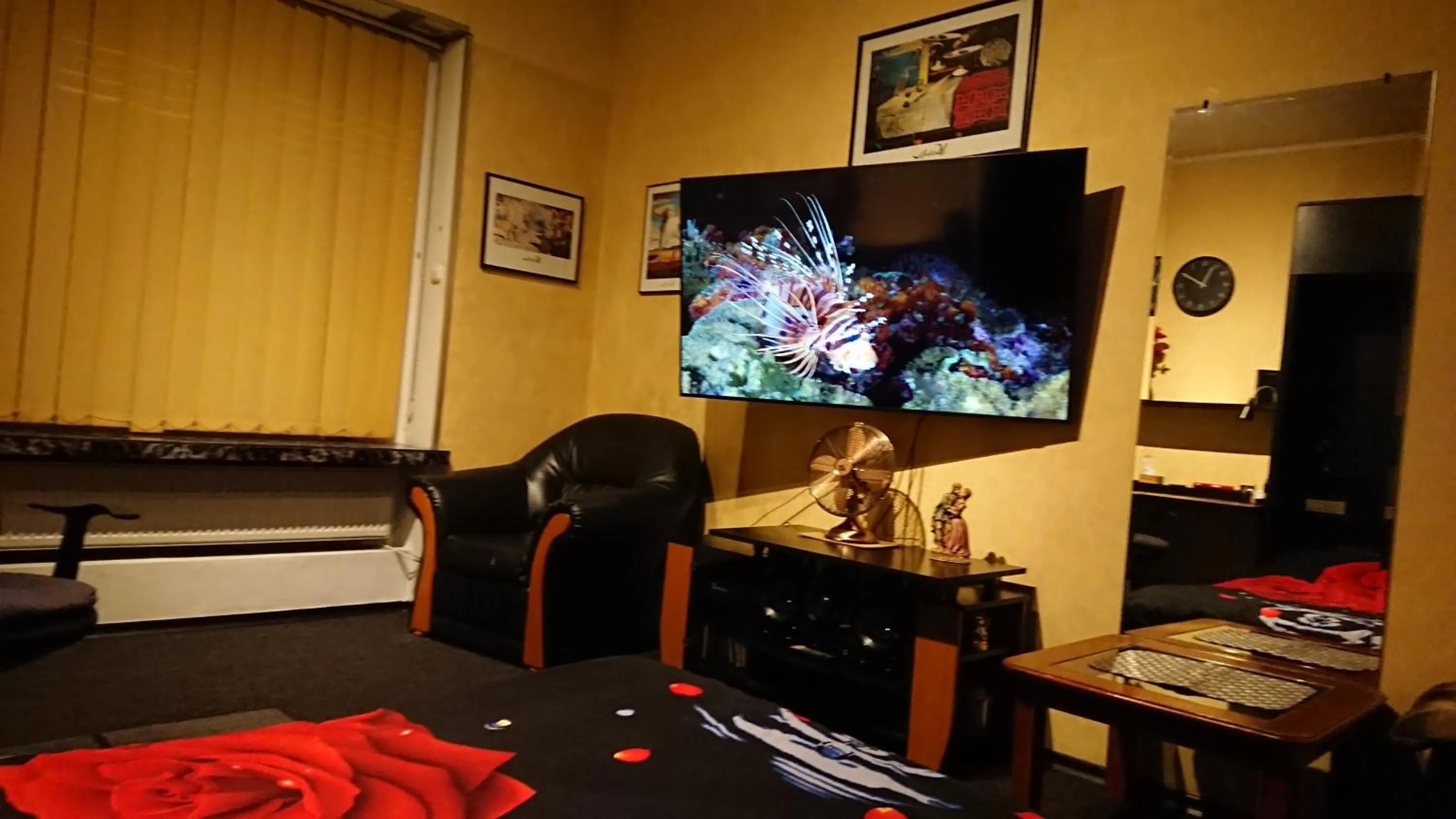 TV and multimedia in RomPromo Plus Accommodation