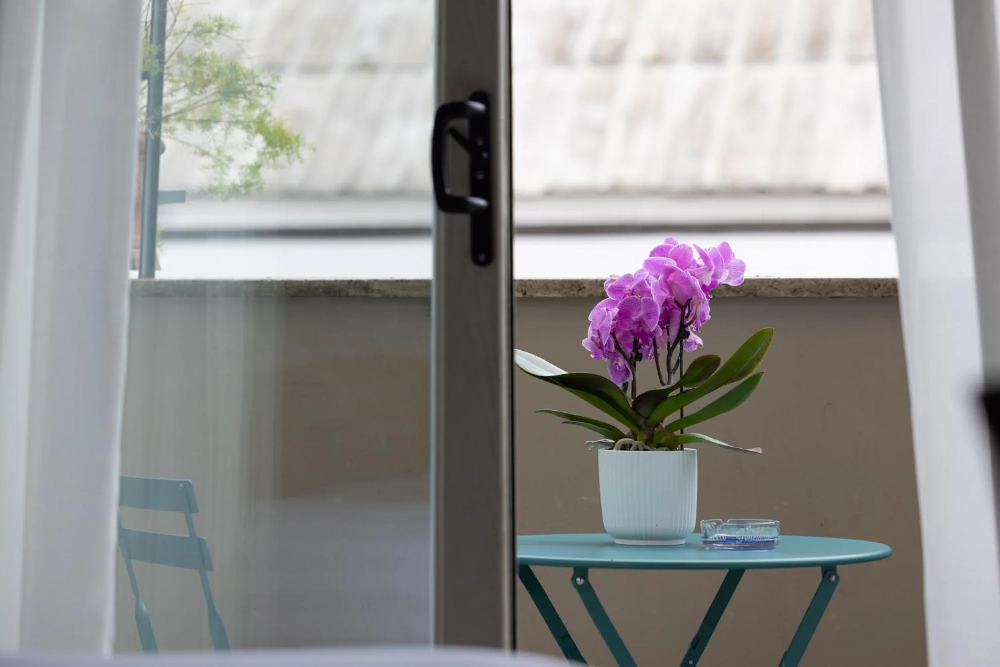 Balcony/Terrace in Zaccardi Roof Garden