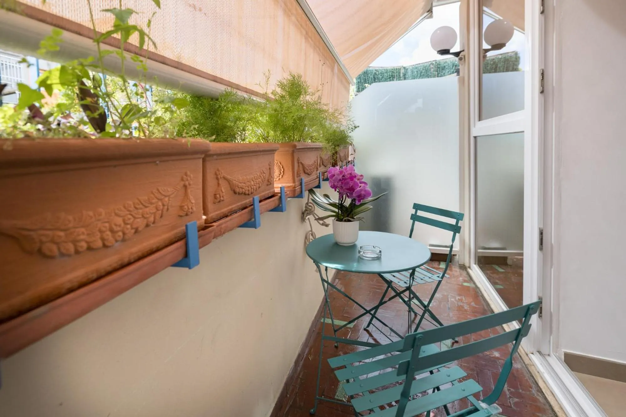 Balcony/Terrace in Zaccardi Roof Garden