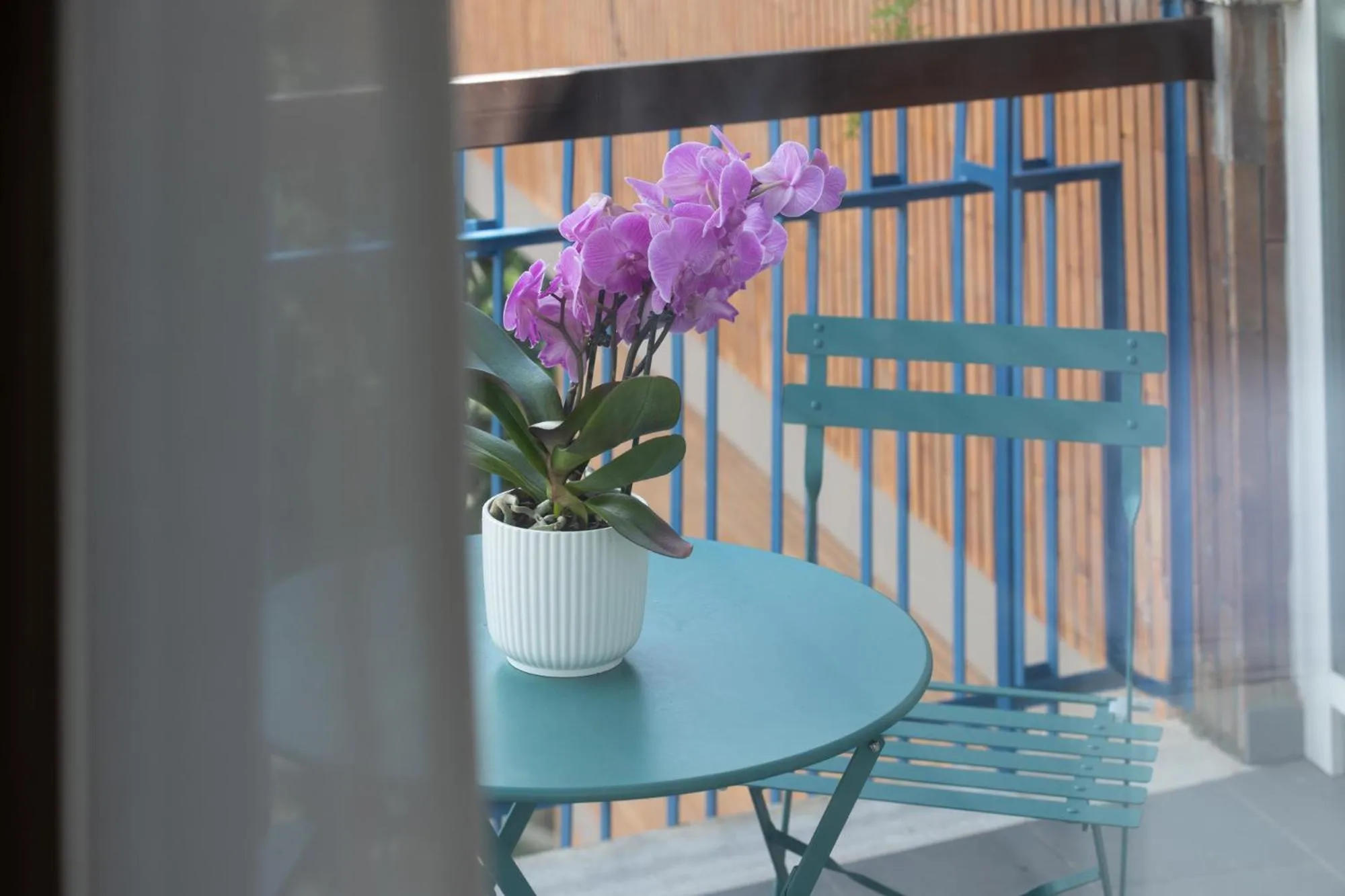 Patio in Zaccardi Roof Garden