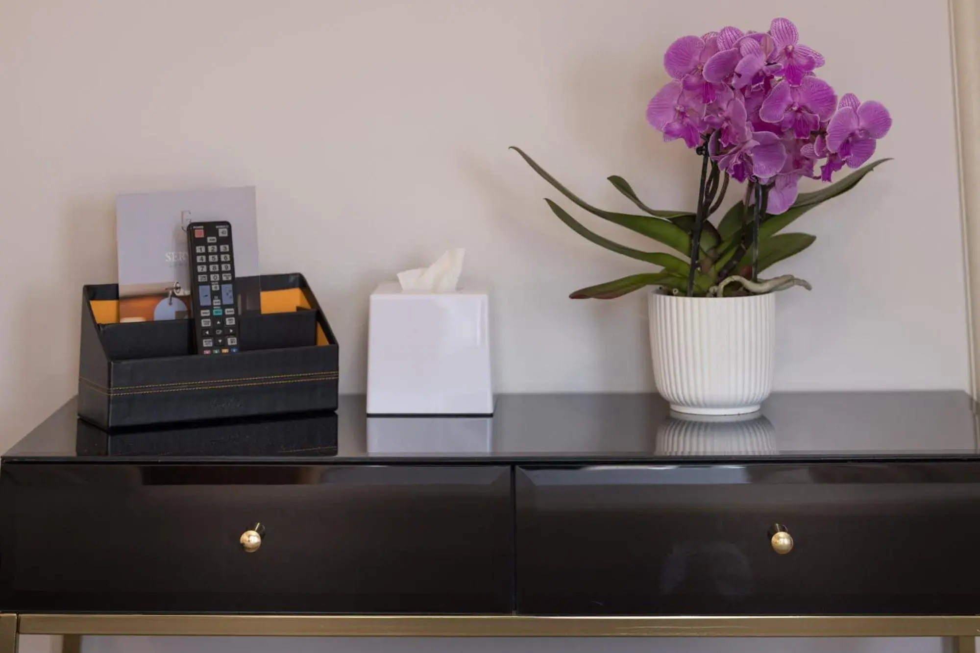 Zaccardi Roof Garden Zaccardi Roof Garden