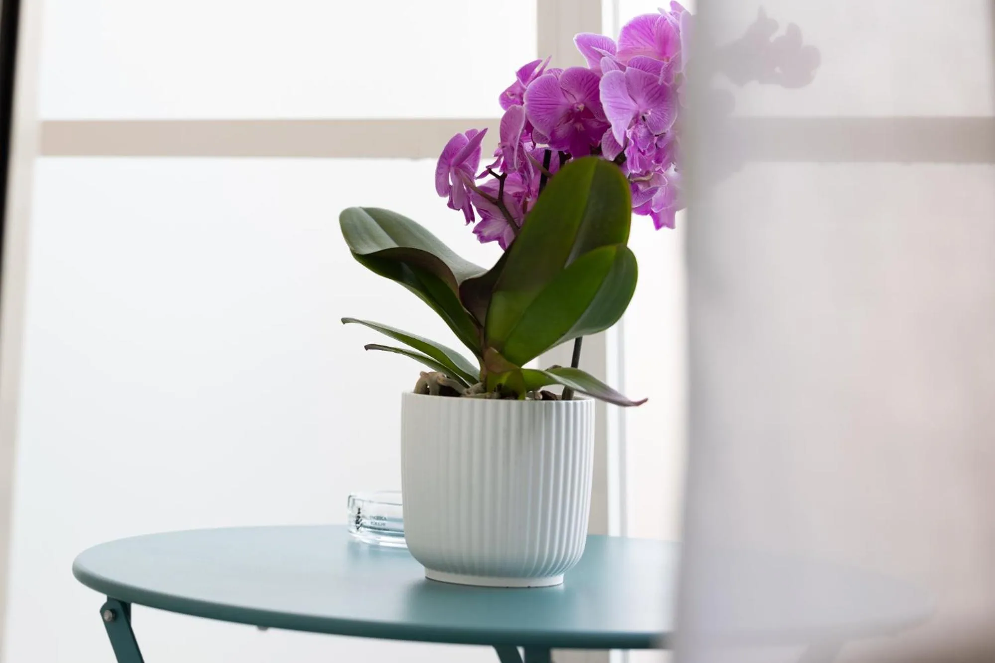 Decorative detail in Zaccardi Roof Garden