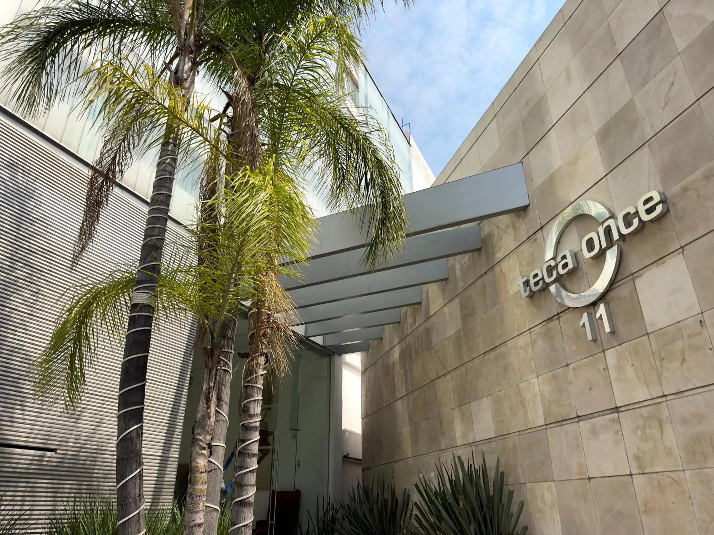 Junior Suite in Suites Teca Once Junior Suite in Suites Teca Once