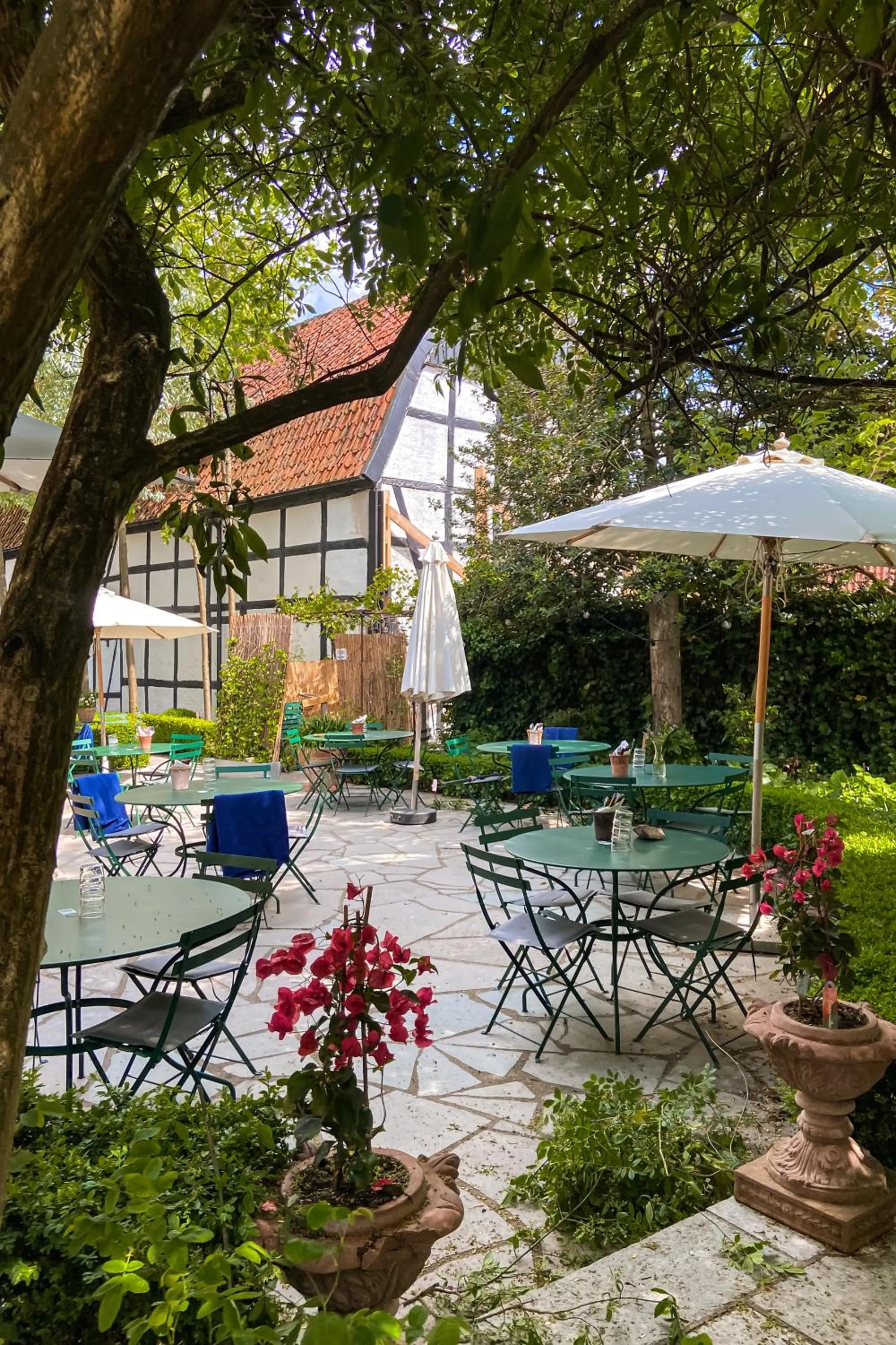 Garden view in Gårdens & Apotekarns B&B