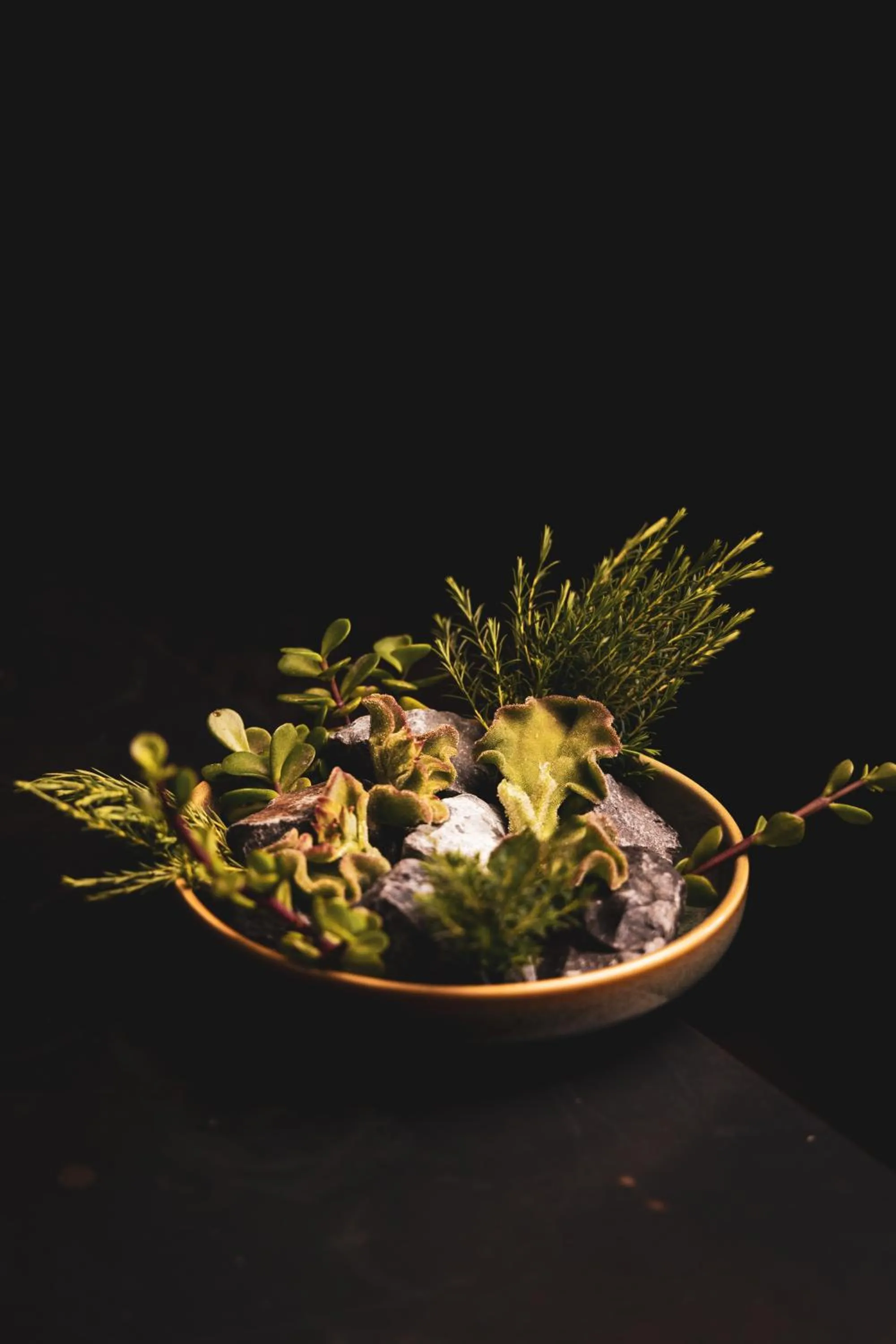 Restaurant/places to eat in Queen Victoria Hotel by NEWMARK