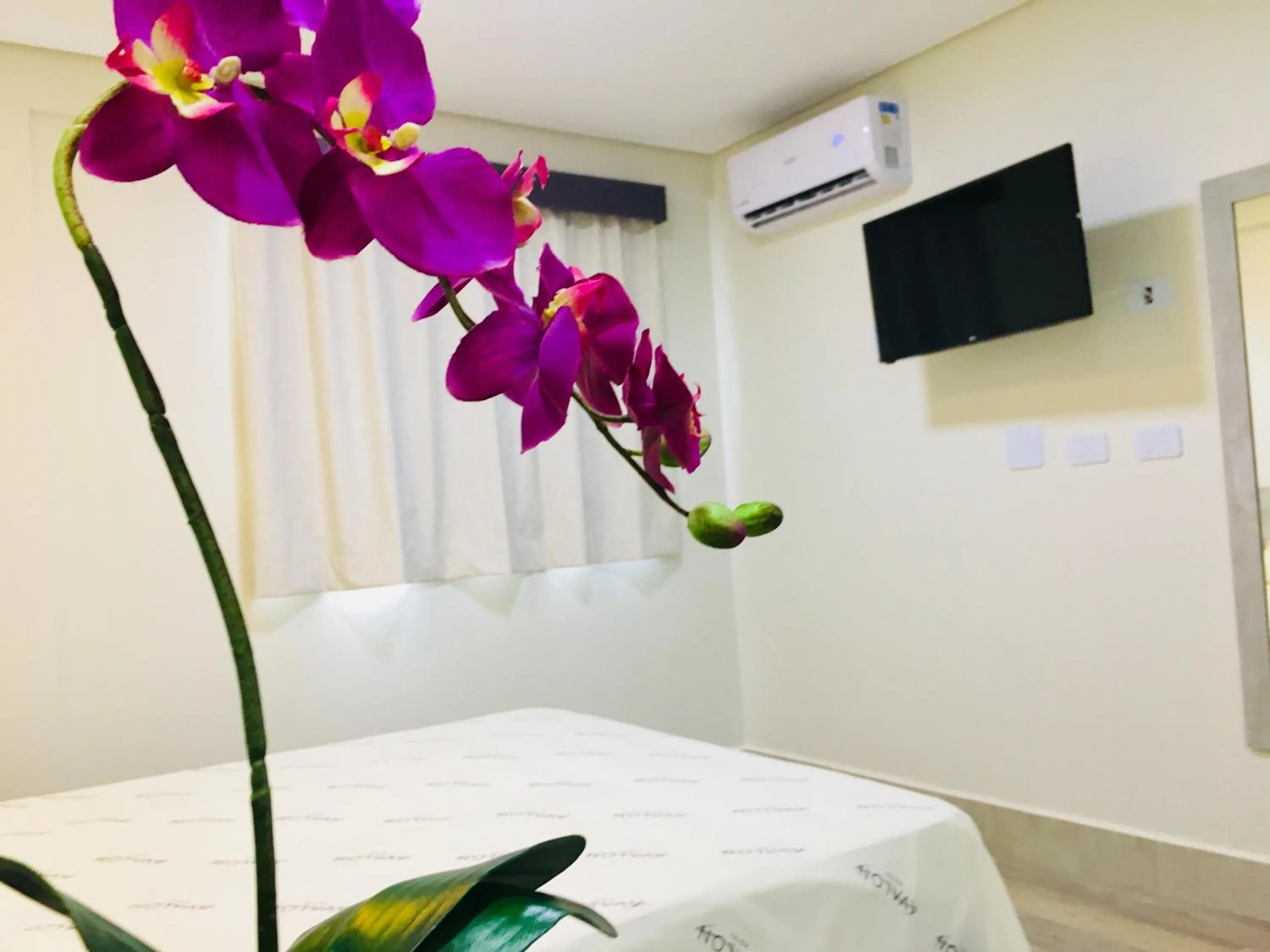 Other, Bed in Hotel Avalon Maringá Econômico