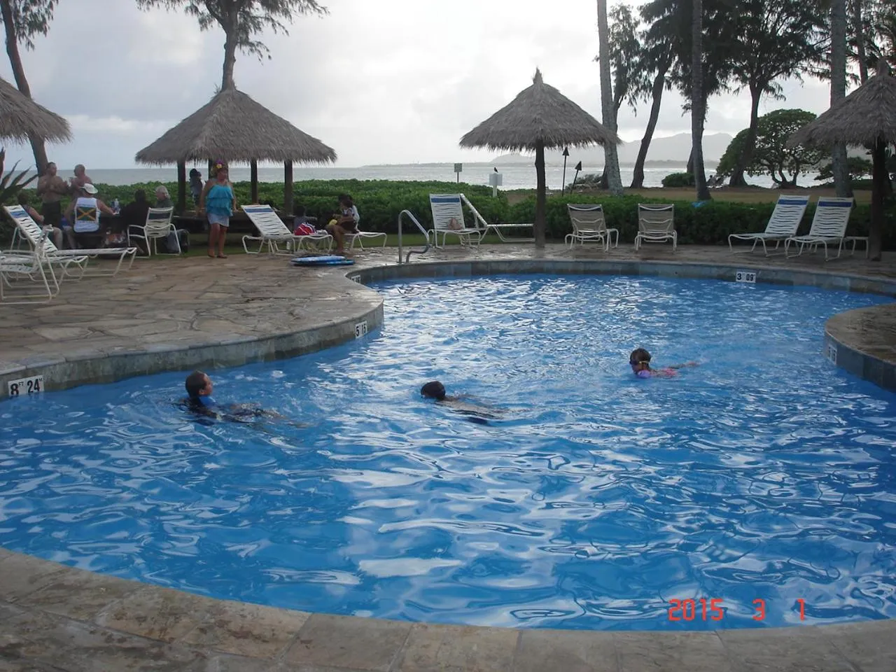 Pool view in Islander on the Beach Unit 244