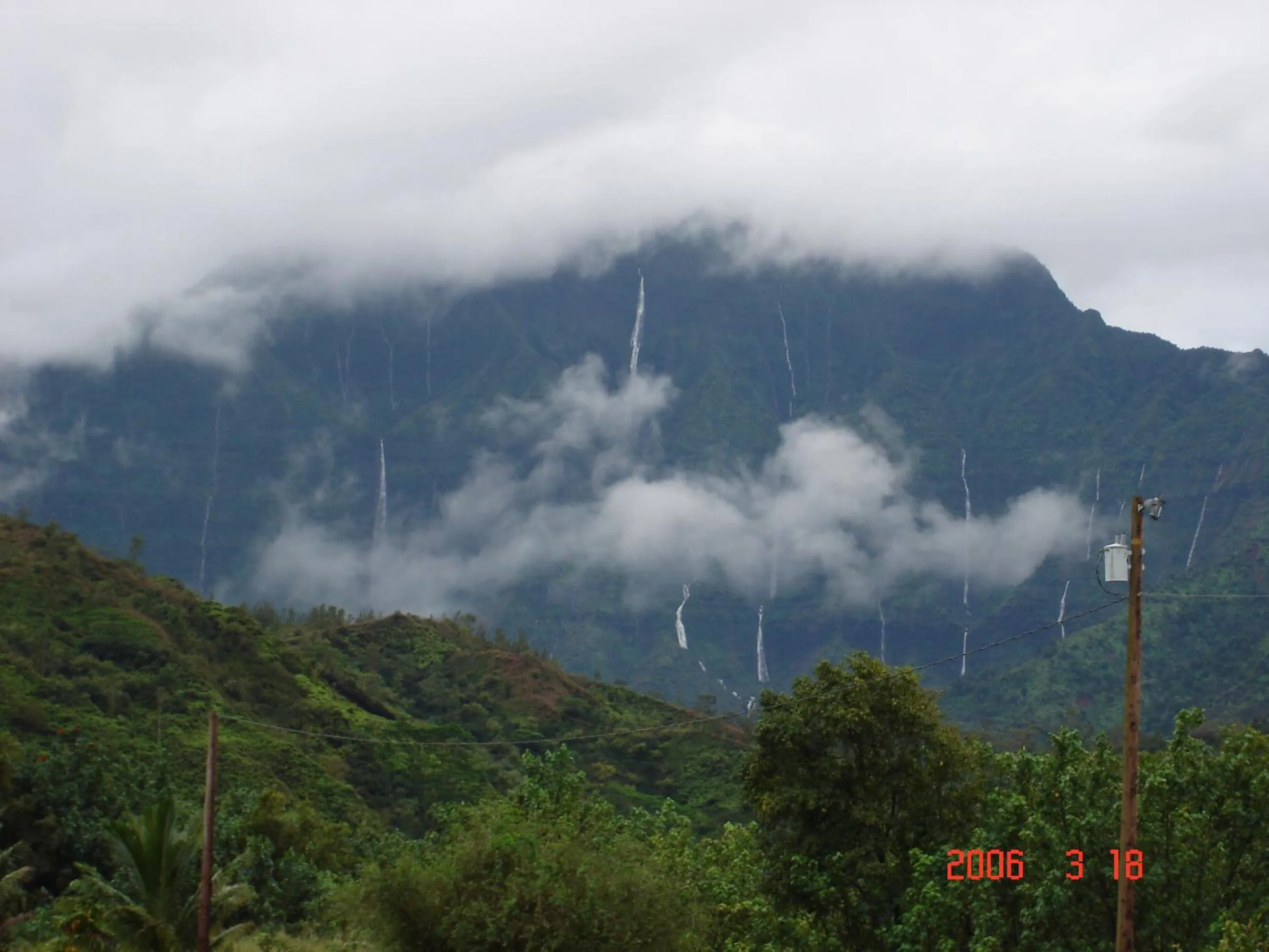 Natural landscape in Islander on the Beach Unit 244