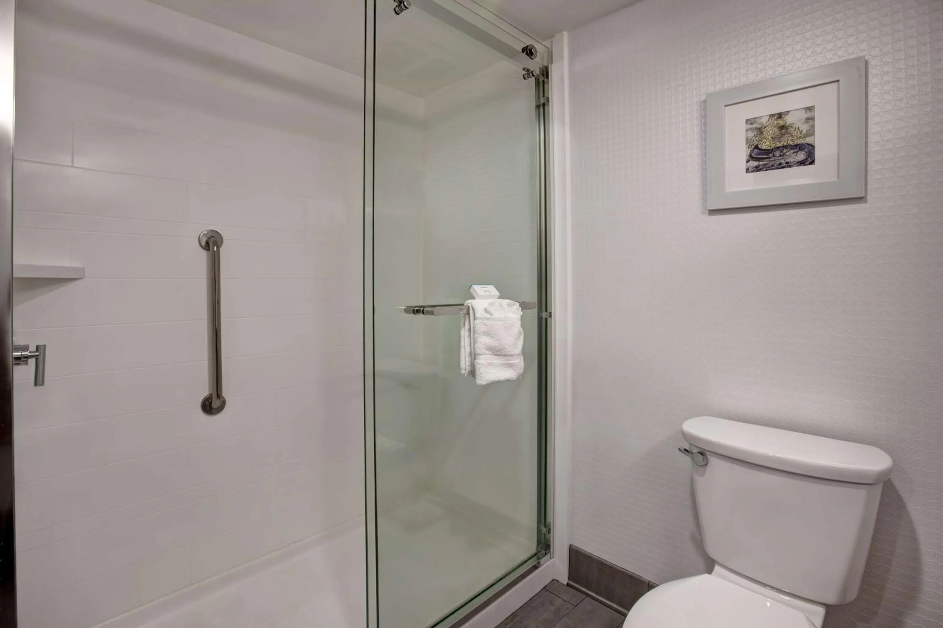 Bathroom in Hampton Inn Olive Branch