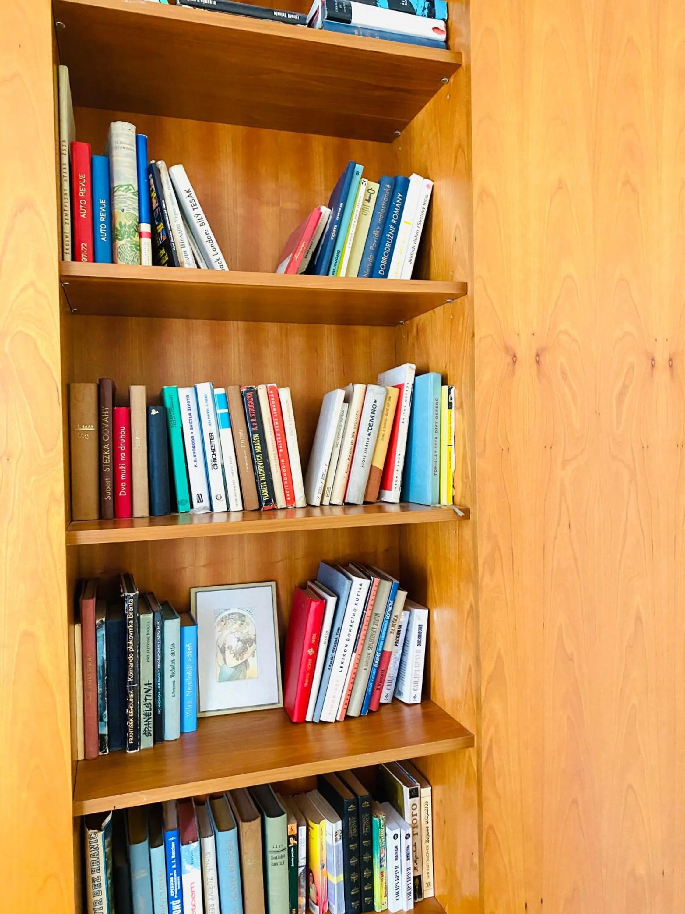 Library in Apartment Barbara