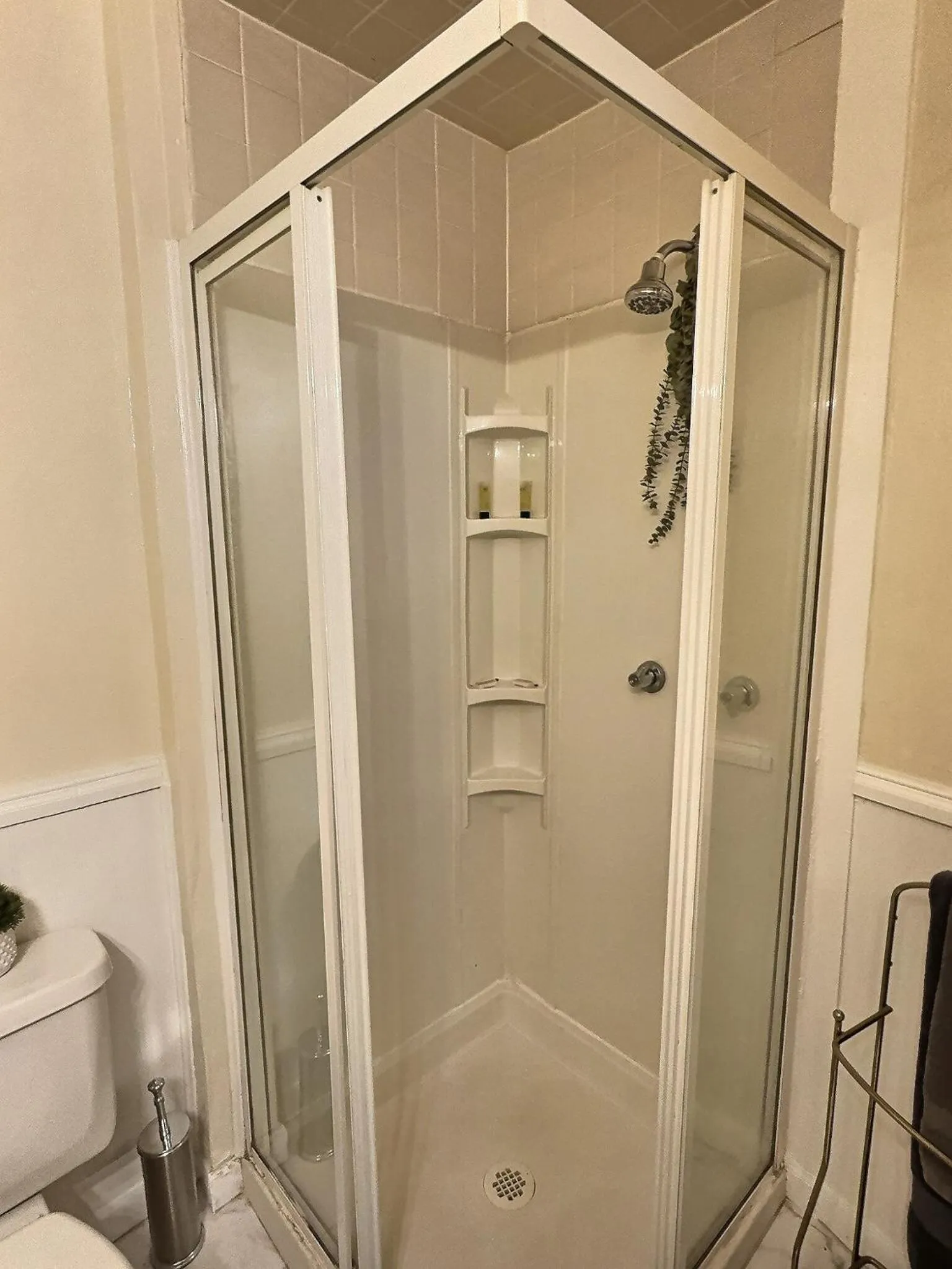 Historic LaSalle Downtown