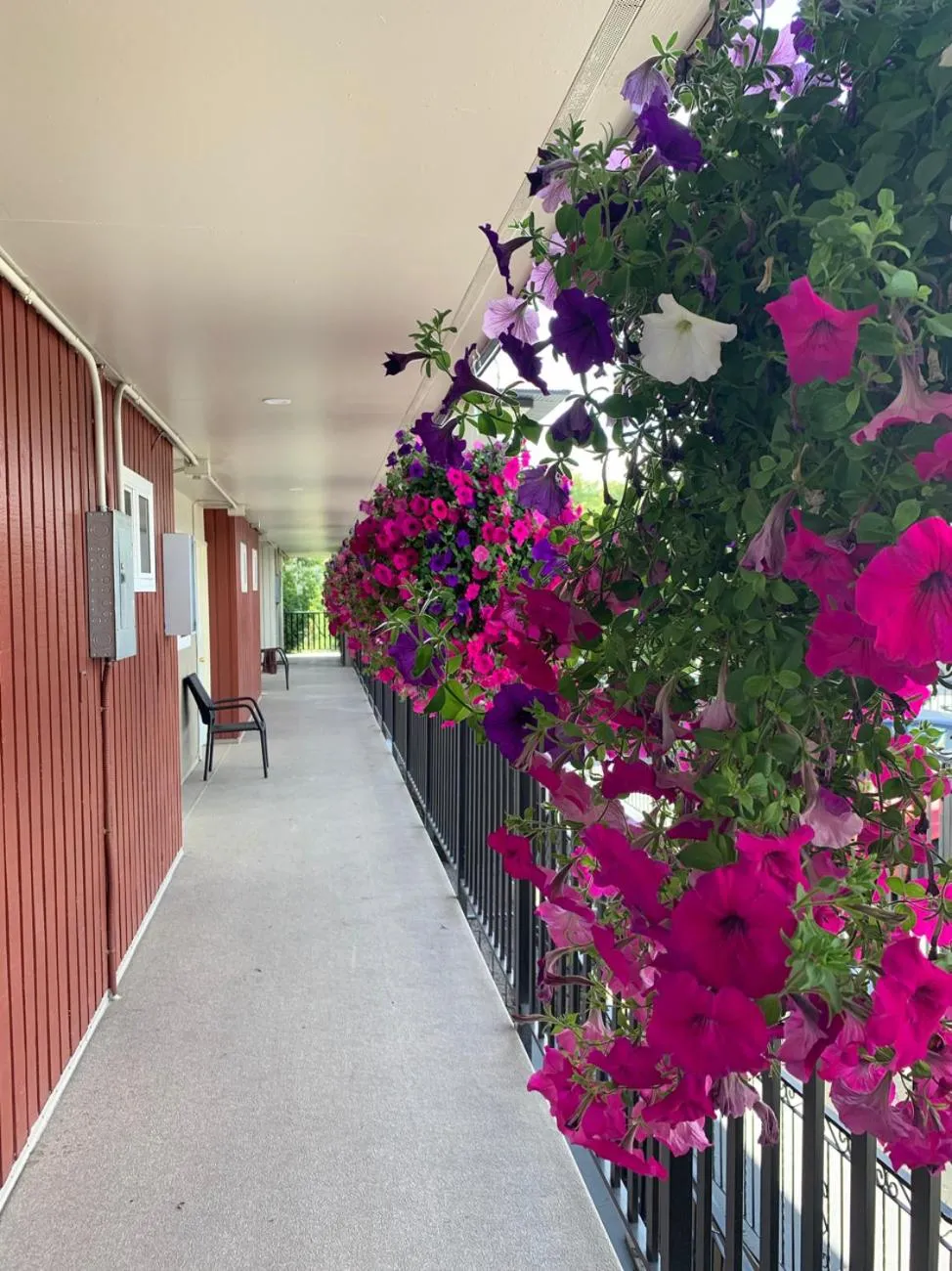 Okanagan Royal Park Inn by Elevate Rooms